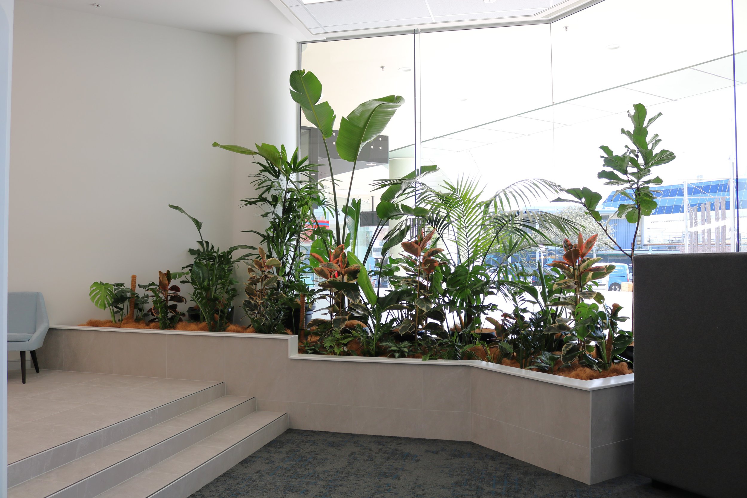 Intérieur moderne avec un mur blanc, un grand mur en verre laissant passer la lumière, et un espace intérieur avec plusieurs plantes vertes dans une grande jardinière, des escaliers en pierre et un fauteuil gris.