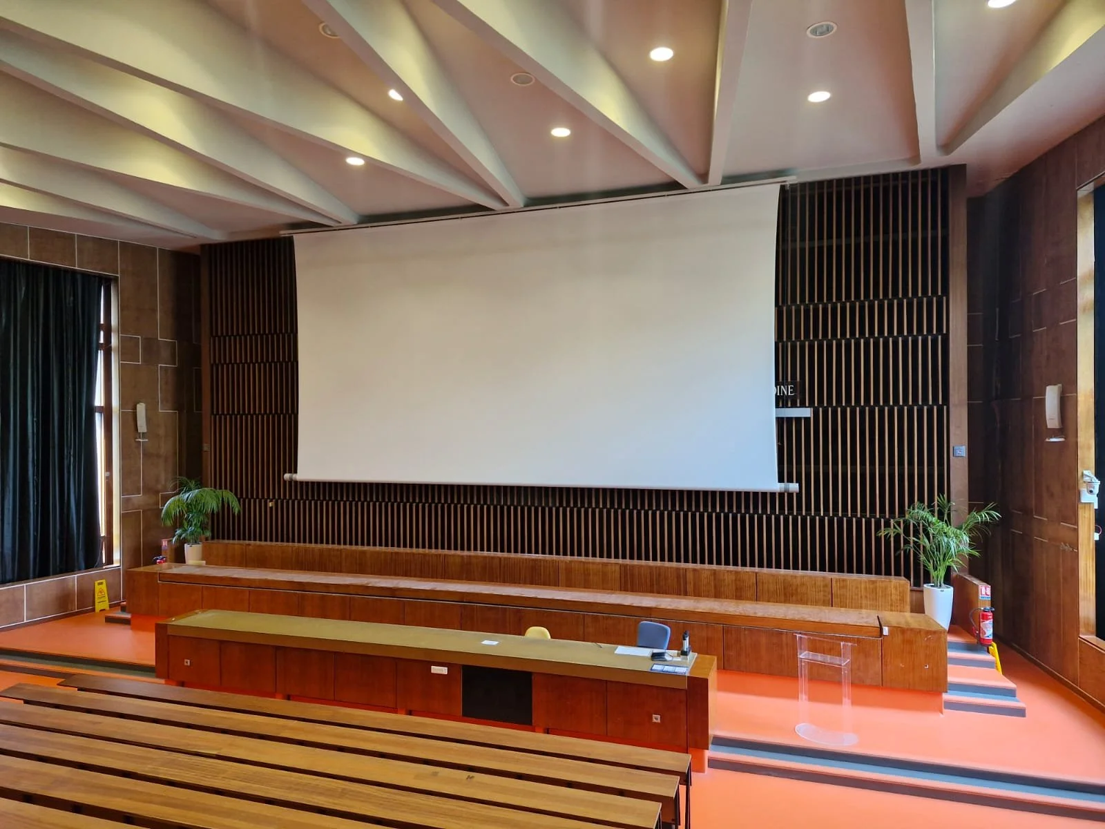 Une salle de conférence avec un grand écran blanc suspendu au mur en bois. Il y a des bancs en bois au premier plan et des plantes en pot à gauche et à droite, avec un éclairage au plafond.