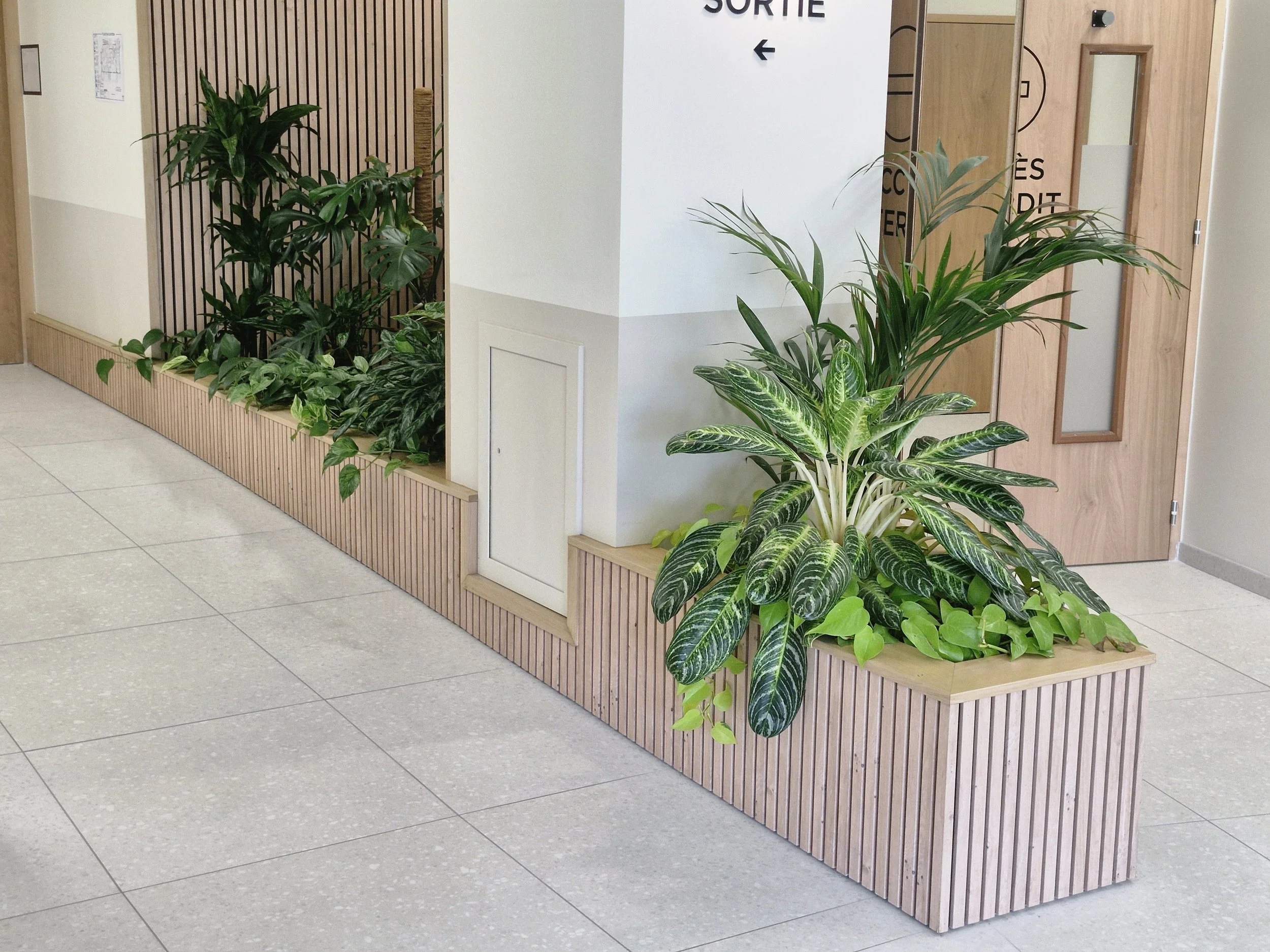 Intérieur d'un bâtiment avec des plantes vertes dans une jardinière en bois, porte en bois et panneau de sortie avec flèche.