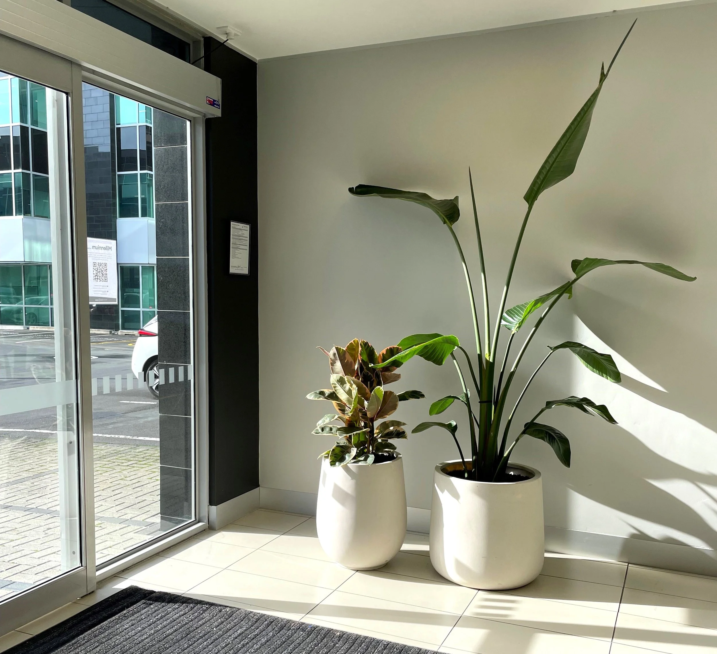 Deux grands pots de fleurs blancs avec des plantes vertes à l'intérieur placés à côté d'une porte en verre dans un intérieur lumineux