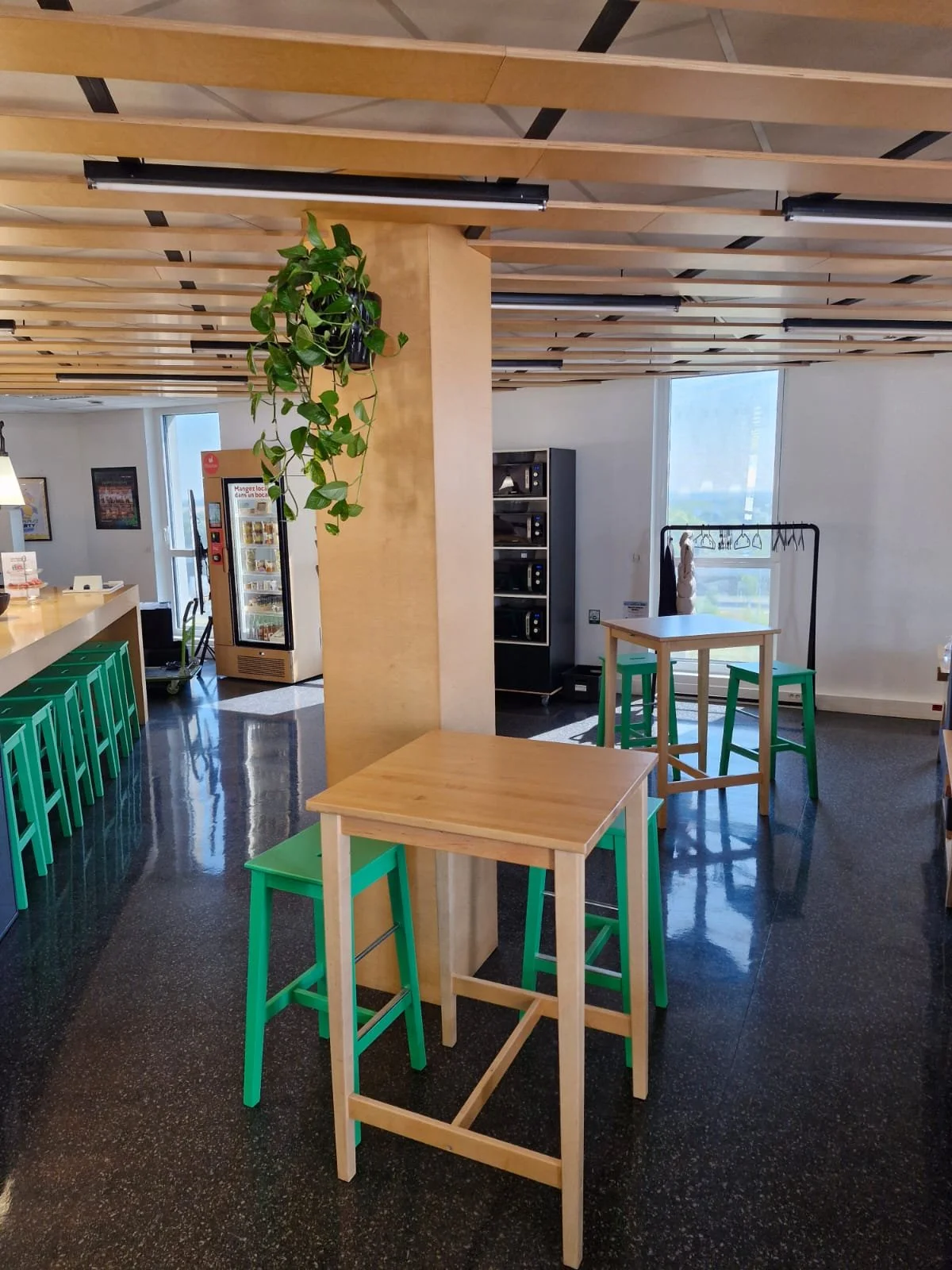 Intérieur d'une cafétéria ou espace de restauration avec des meubles en bois et chaises vertes, une plante suspendue, une machine à café, un réfrigérateur et des grandes fenêtres laissant entrer de la lumière.