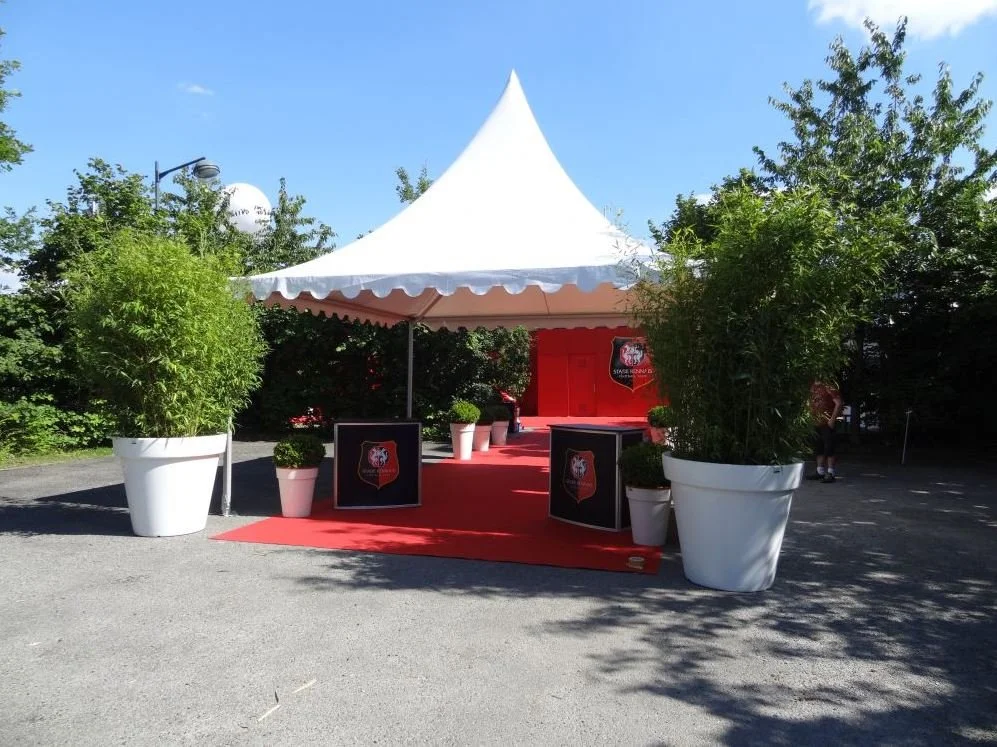 Une tente blanche avec un tapis rouge devant, entourée de grands pots avec des arbustes verts, en plein air sous un ciel bleu.