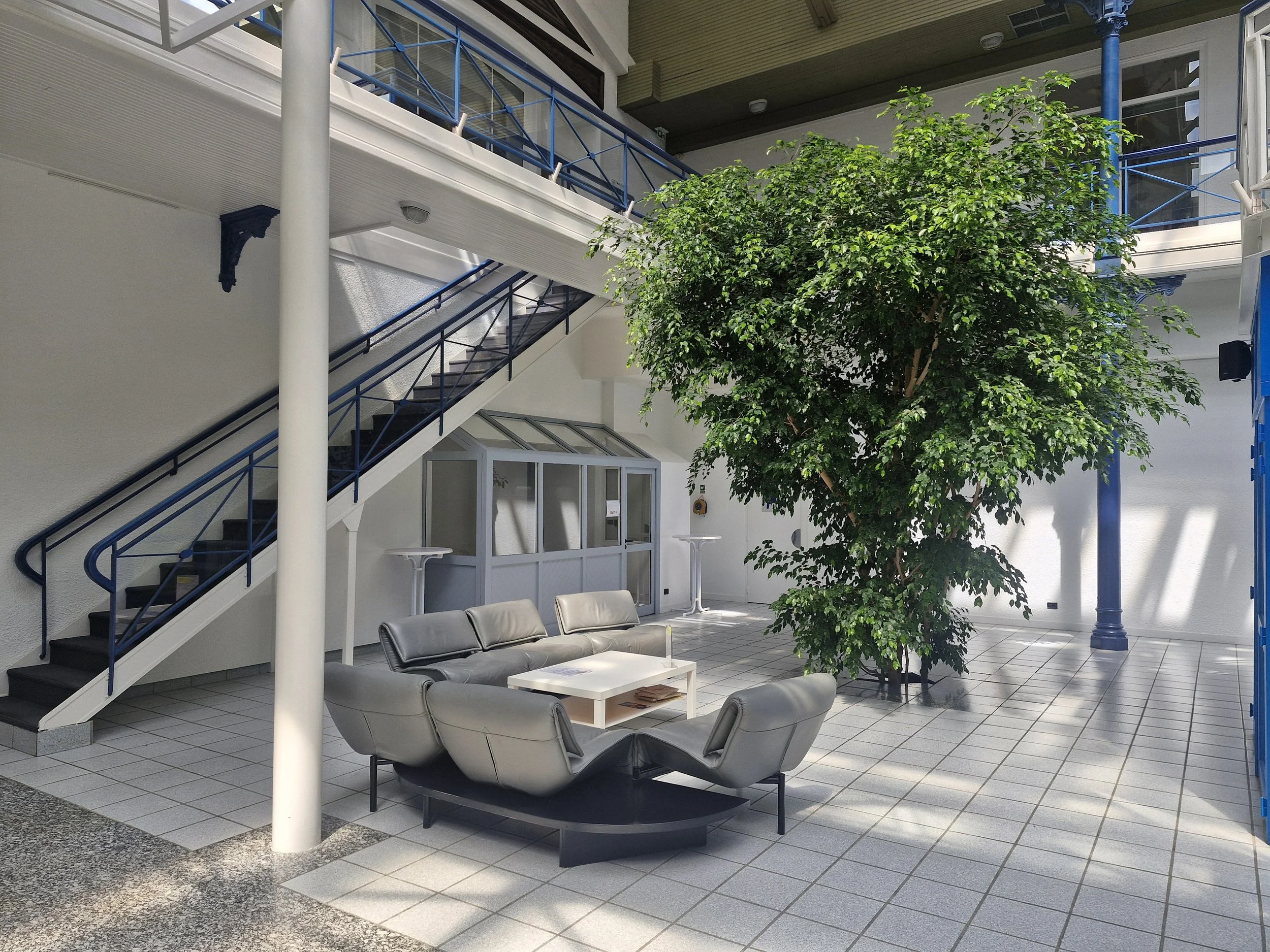 Une cour intérieure lumineuse avec un arbre vert dense, un canapé gris, une table basse blanche, et des escaliers métalliques noirs avec des rampes bleues menant à un étage supérieur, dans un bâtiment moderne.