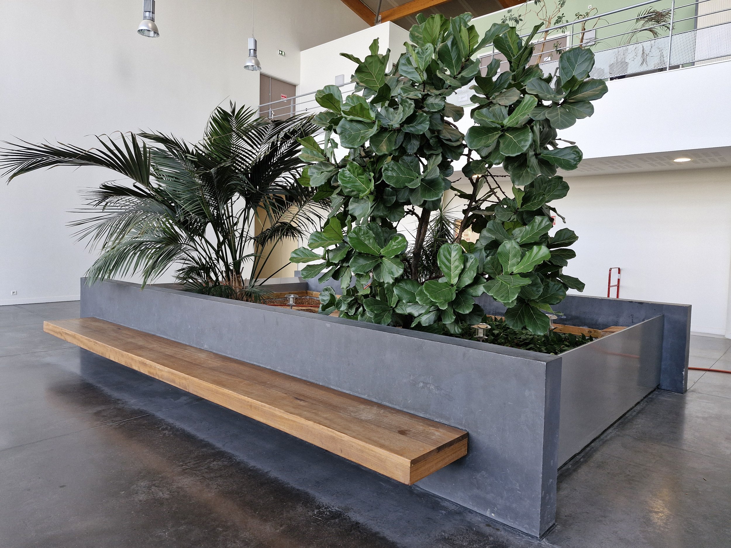 Plantes vertes dans un pot en béton, situé dans un espace intérieur moderne avec plafonds en bois et murs blancs.