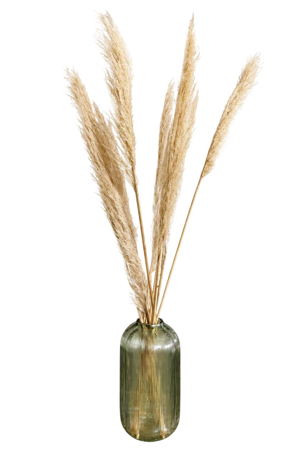 Un vase en verre contenant des herbes de pampa séchées