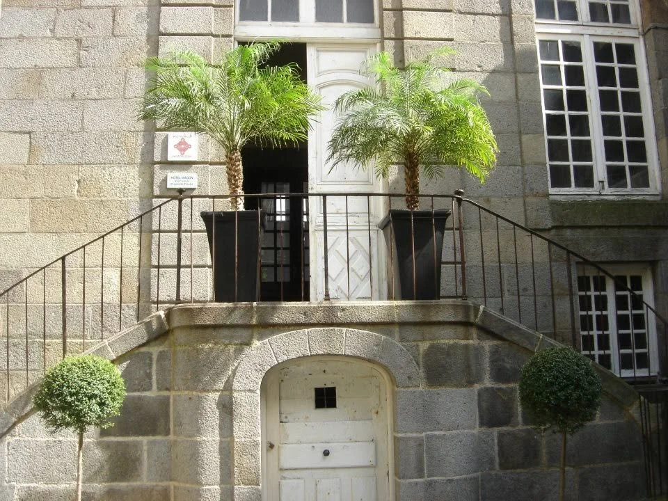 Deux palmiers en pots noirs sur une plateforme extérieure avec une maison en pierre en arrière-plan.