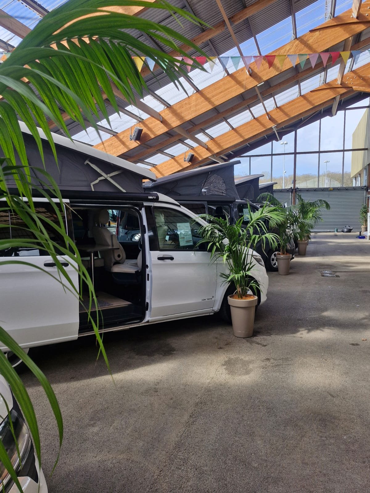 Intérieur d'un showroom de camping-cars avec plusieurs véhicules équipés de tentes pop-up. Des plantes en pot décorent l'espace, tandis que la structure en bois et en verre laisse entrer la lumière naturelle.