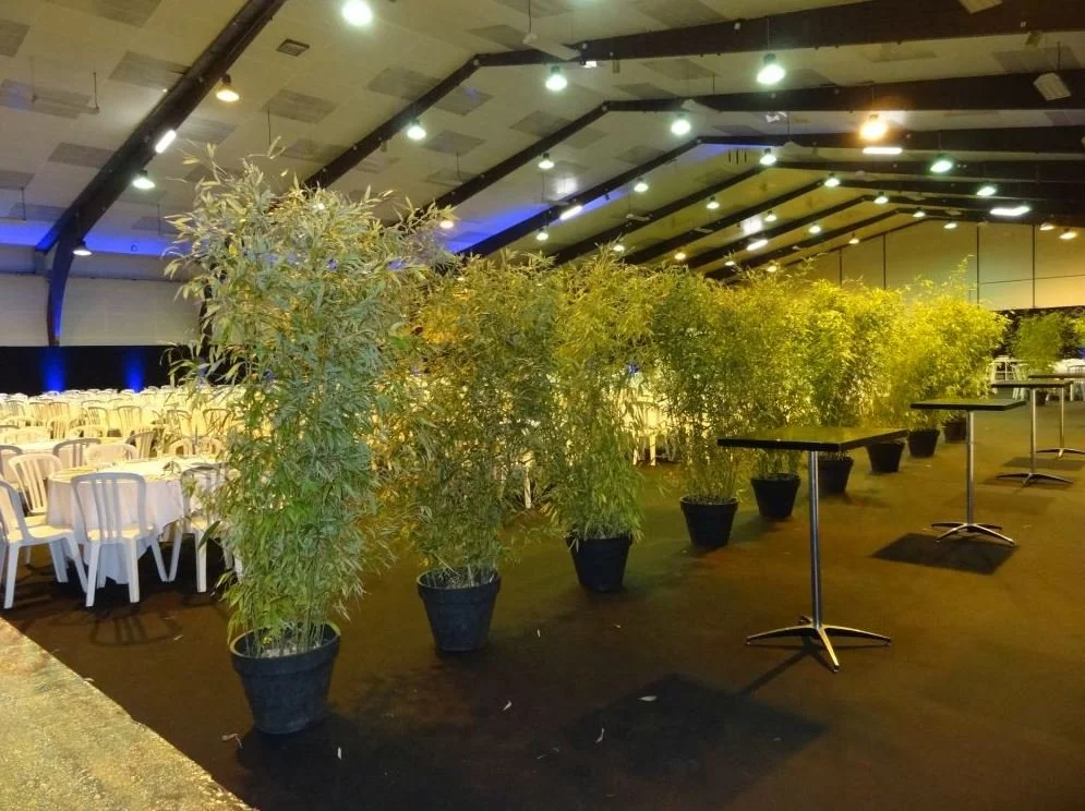 Intérieur d'une salle de réception avec tables et chaises blanches, séparée par un mur de grandes plantes en pots noirs, avec un plafond voûté et un éclairage LED