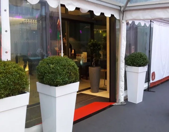 Entrée d'un restaurant ou d'un café avec de grandes plantes en pot blanc à l'avant, une tente blanche et une porte vitrée.