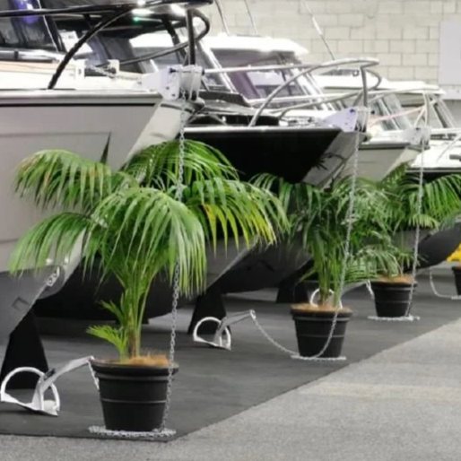 Trois plantes en pot devant des bateaux dans un magasin nautique.