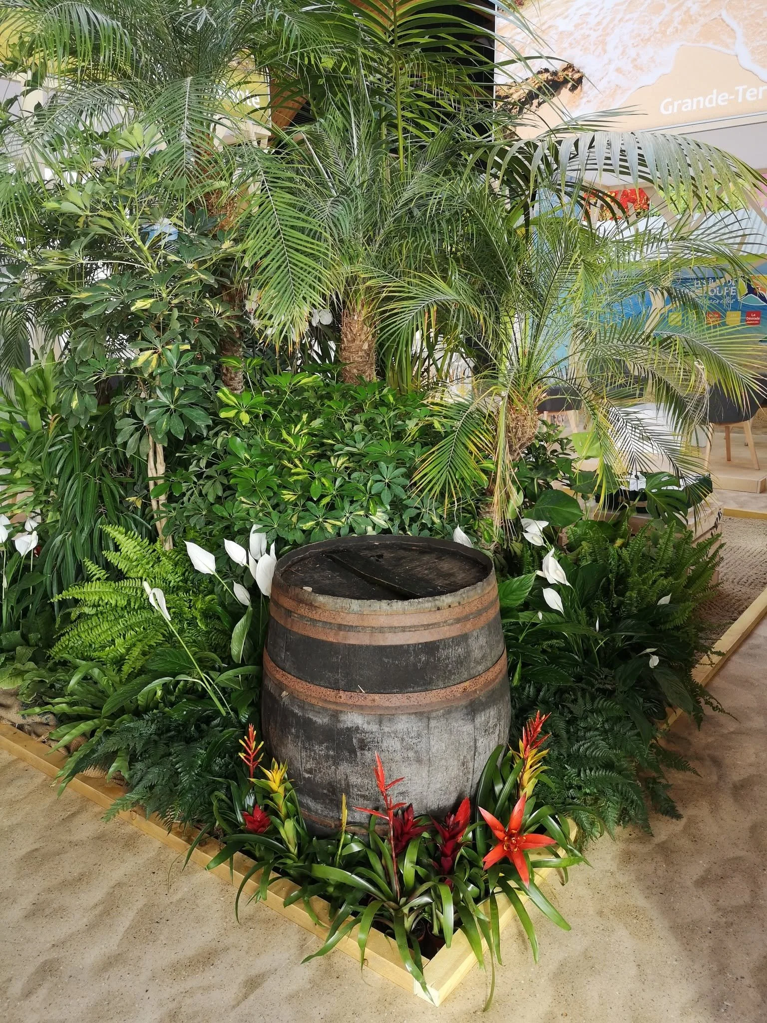 Plantes tropicales verdoyantes autour d'une barrique en bois, avec des fleurs rouges et jaunes à la base, dans un espace intérieur.