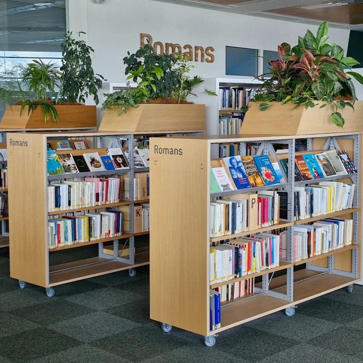 Deux rayonnages à livres en bois avec roulettes dans une bibliothèque, classés par genres comme Romans, accompagnés de plantes vertes en pots sur la cimaise, et en arrière-plan des étagères avec plus de livres.