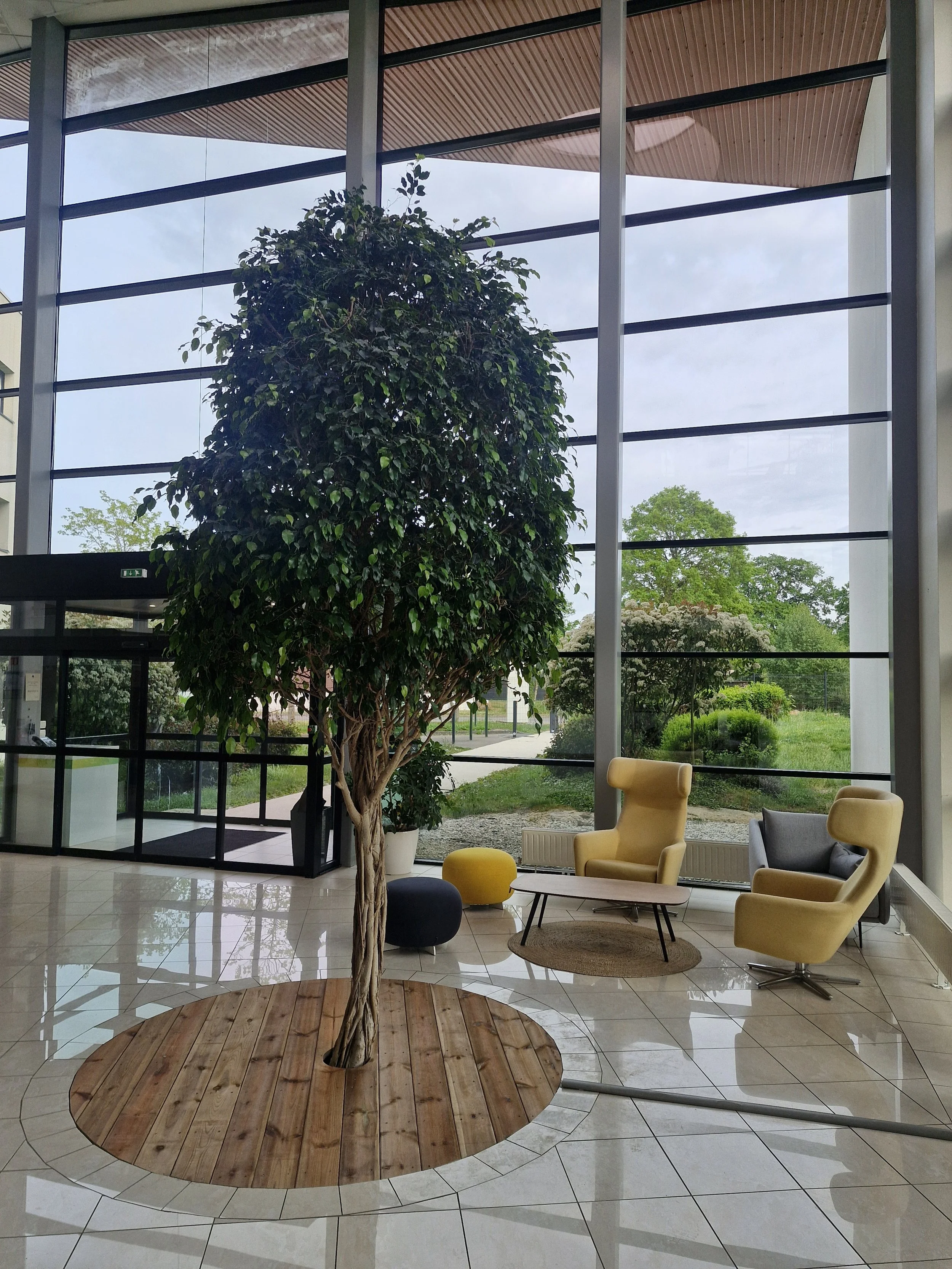 Intérieur d'un hall moderne avec un arbre en pot situé au centre sur un revêtement en bois circulaire. Autour, des fauteuils confortables de couleurs crème et gris foncé, une table basse, et un fauteuil swivel gris clair. Grande baie vitrée laissant voir un espace extérieur verdoyant avec des arbres et un ciel partiellement nuageux.