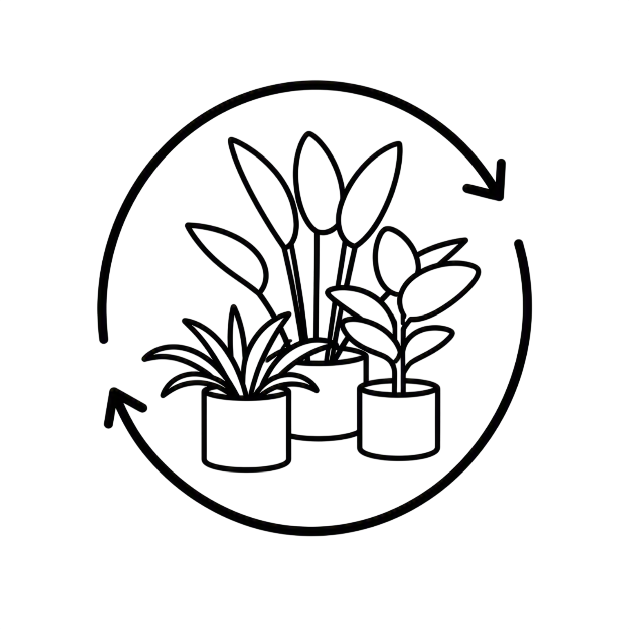 Illustration de trois plantes en pots avec un cercle en arrière-plan.
