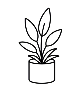 Une plante en pot avec plusieurs feuilles