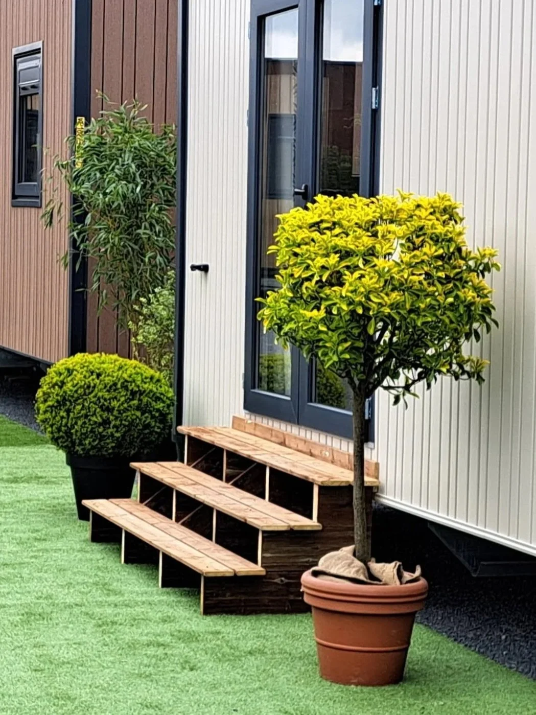 Jardinière avec un arbre à feuilles vertes et deux autres arbustes à feuilles vertes dans des pots en terre cuite, devant une maison moderne avec une entrée et des fenêtres.