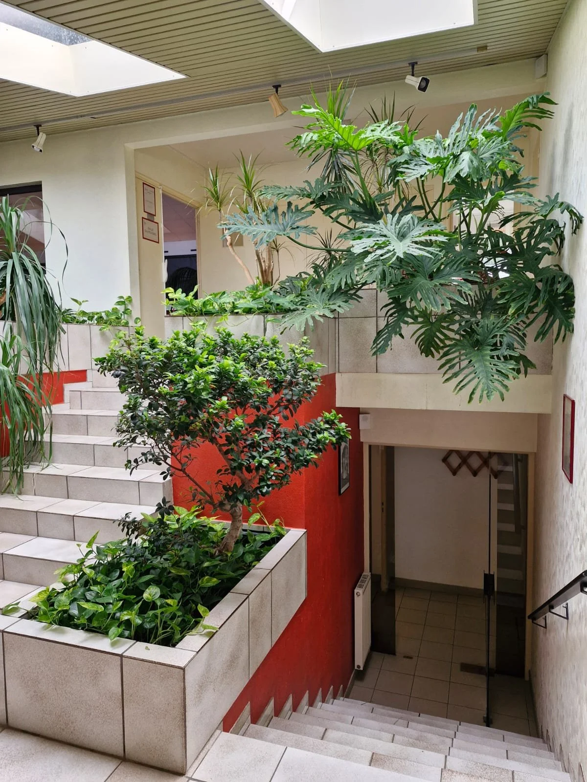 Intérieur d'immeuble avec escalier, plantes vertes en pot, murs blancs et rouges, plafond avec deux fenêtres de toit et éclairages, porte d'entrée en bas des escaliers.