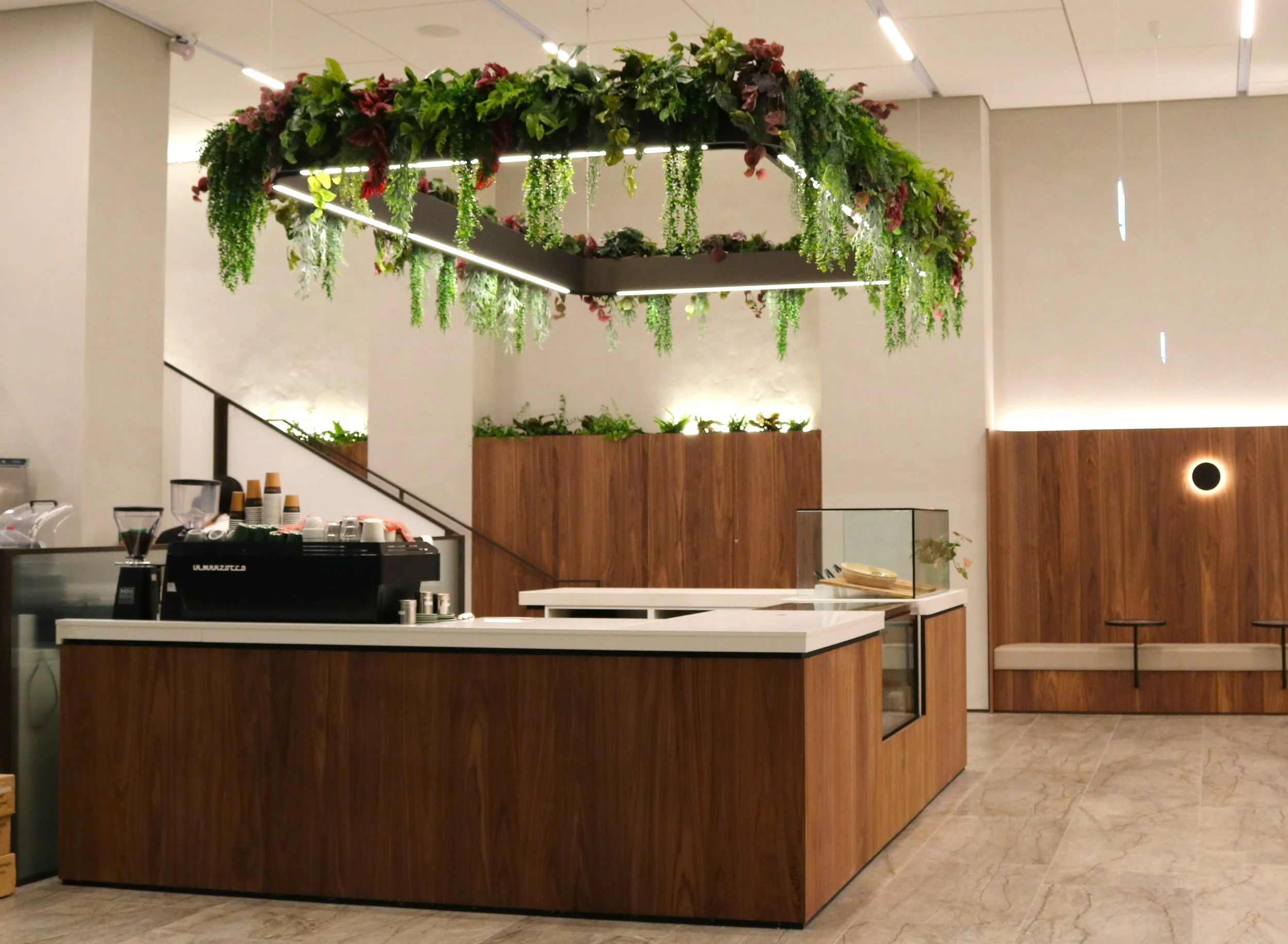 Un comptoir de café dans un intérieur moderne avec une décoration végétale suspendue en forme de carré, en verre et en bois.