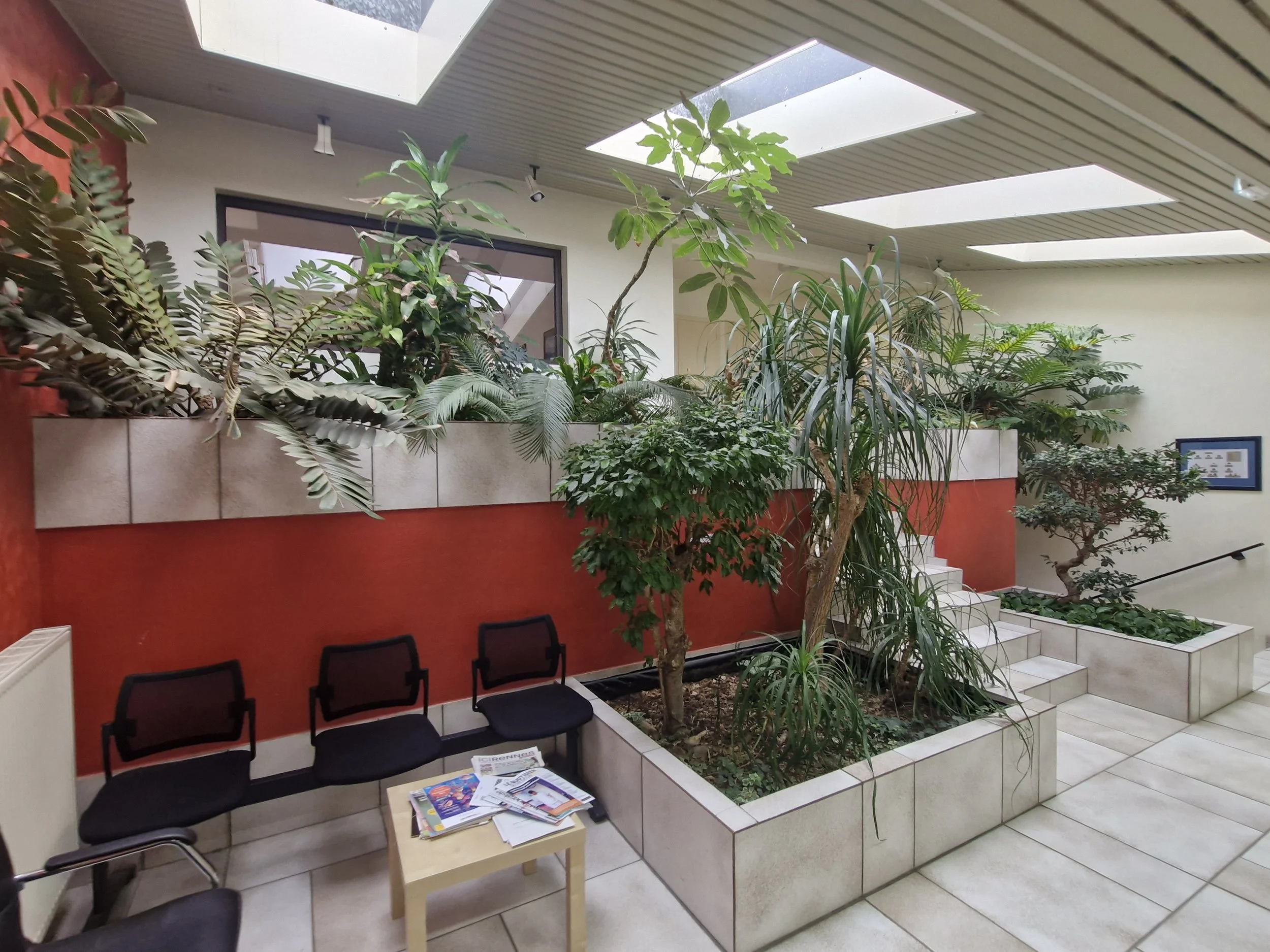 Intérieur d'une salle d'attente avec des plantes, plusieurs chaises noires et une table avec des magazines. Il y a une grande fenêtre avec des plafonds en panneaux acoustiques.