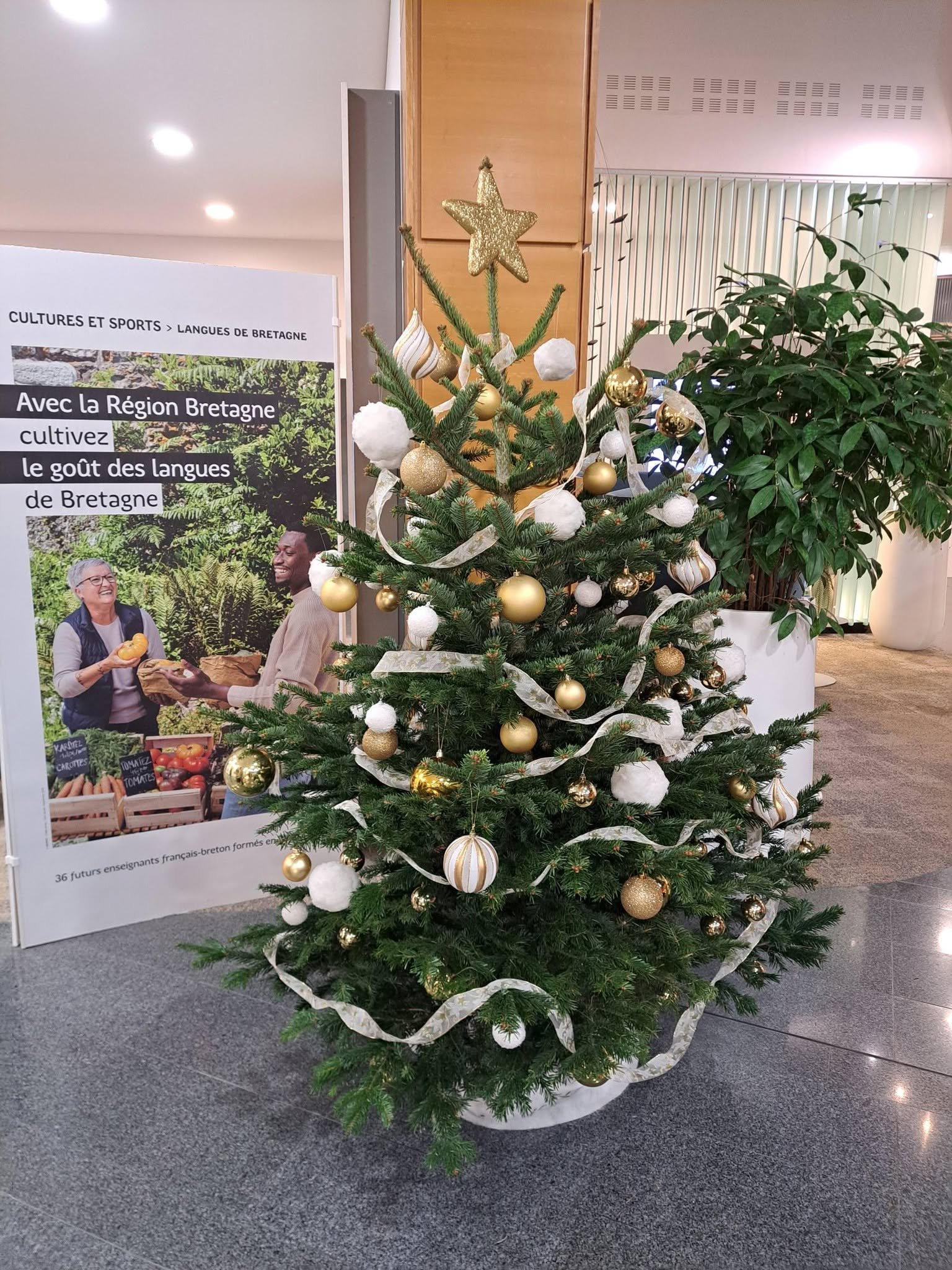 Un sapin de Noël décoré avec des boules dorées et blanches, ainsi que des rubans dorés et une étoile dorée en haut, placé dans une pièce près d'une affiche sur la région Bretagne.