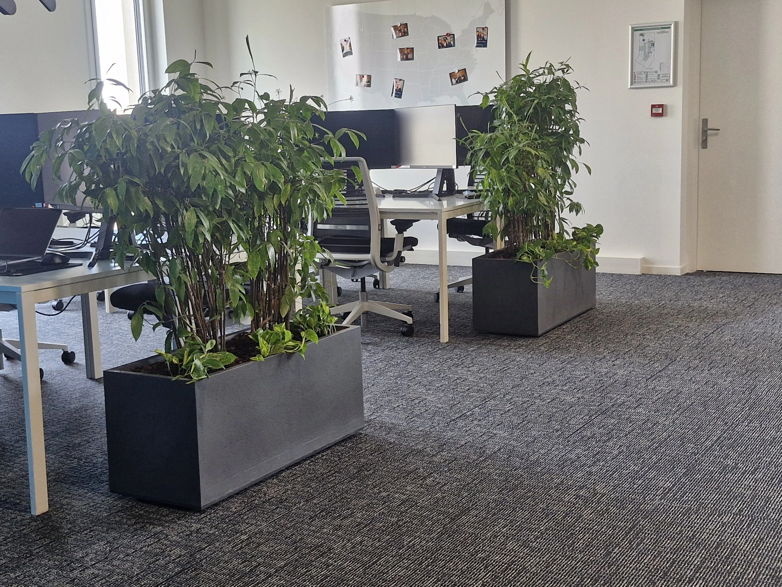 Un espace de bureau avec des plantes en pot, des bureaux, des chaises et des moniteurs d'ordinateur, ainsi qu'un tableau blanc avec des photos et une carte. Il y a aussi une porte et un mur avec un panneau d'informations.