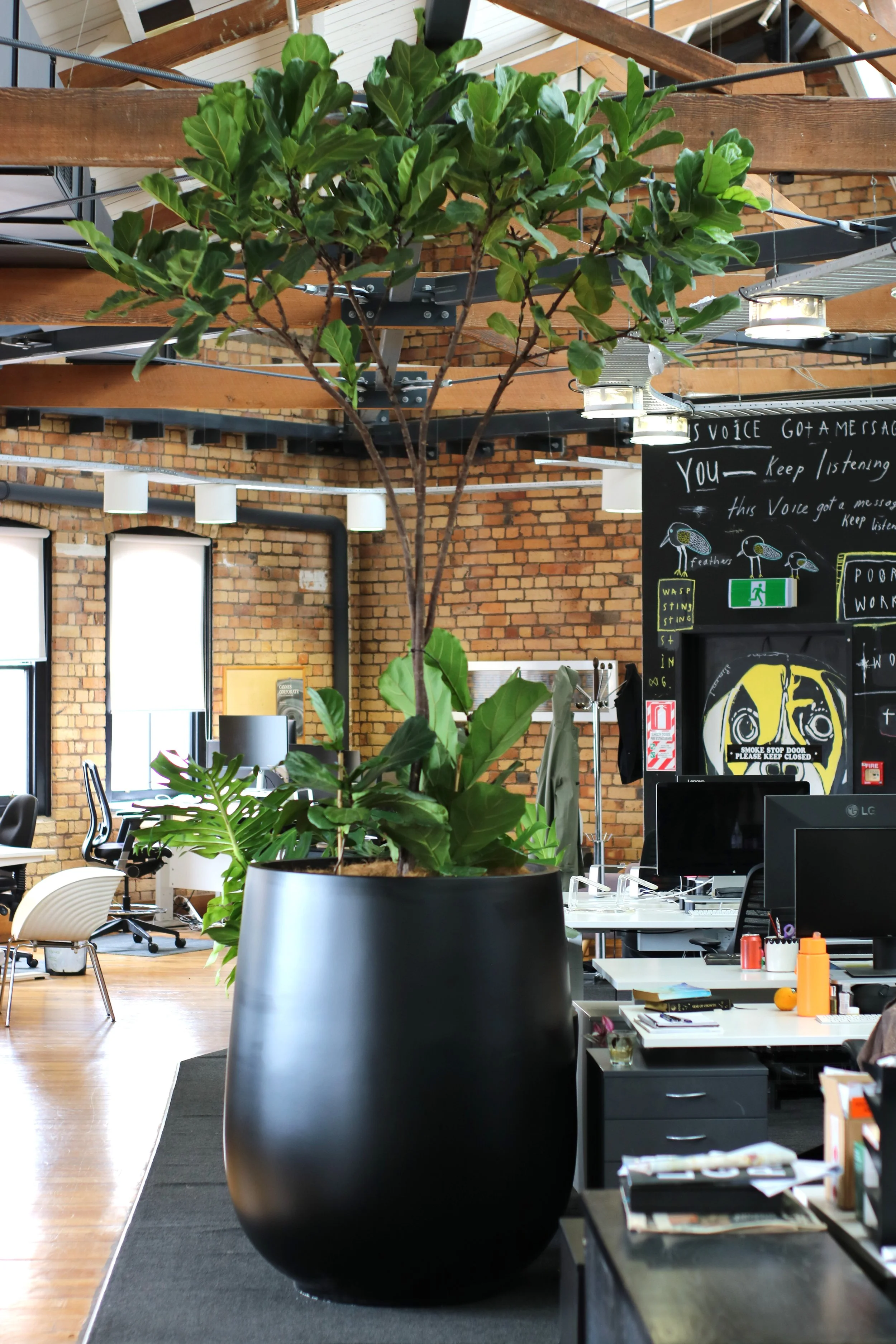 Grand espace de bureau avec une grande plante verte dans un pot noir au centre. Mur en briques, plusieurs fenêtres et lumières suspendues au plafond en bois. Mobilier de bureau avec écrans, chaises et bureaux.