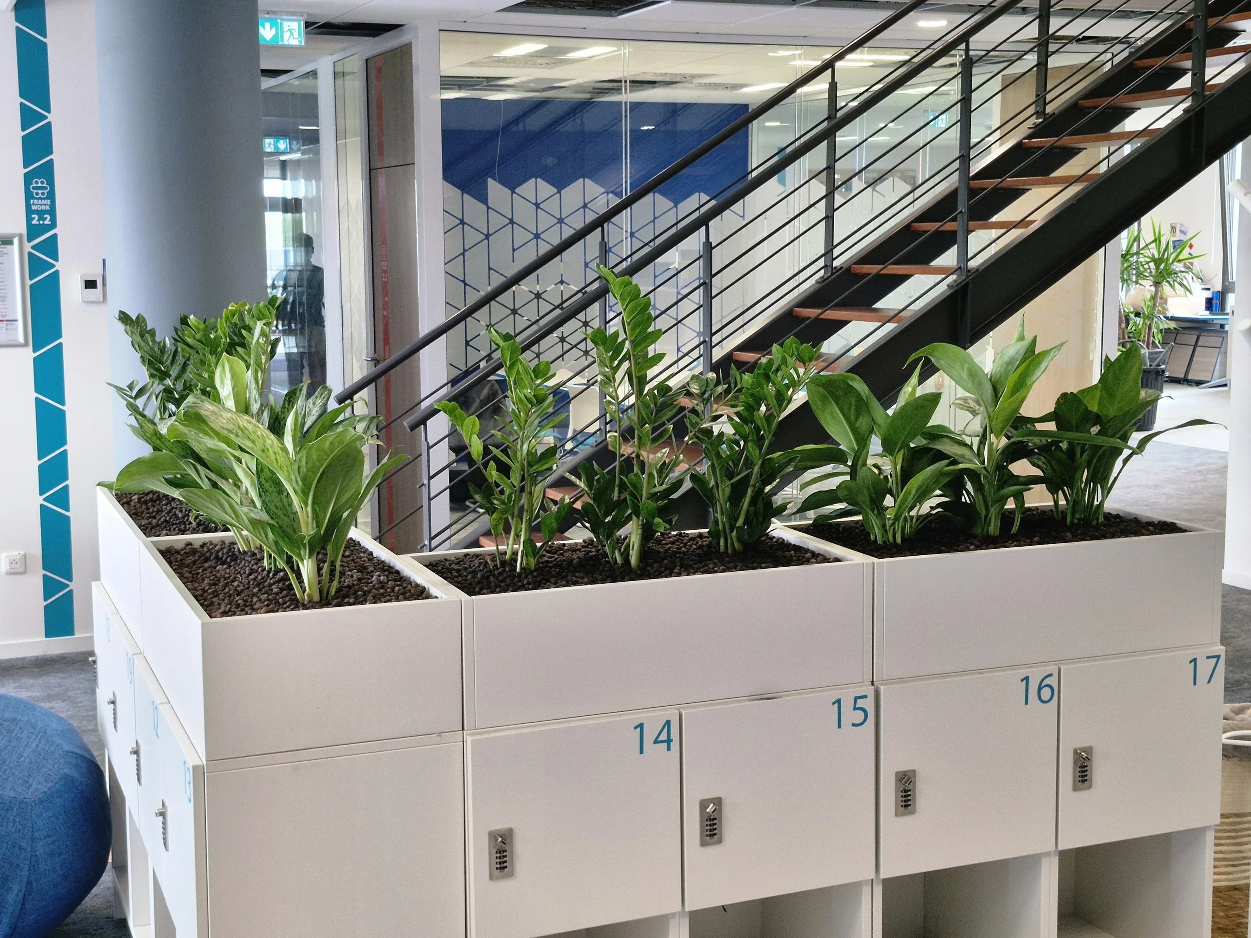 Une grande caisse blanche contenant plusieurs plantes vertes dans des pots en terre cuite, située dans un environnement intérieur moderne, avec des casiers en dessous numérotés de 14 à 17, en arrière-plan on voit un escalier métallique et des panneaux en verre avec une décoration géométrique bleue.