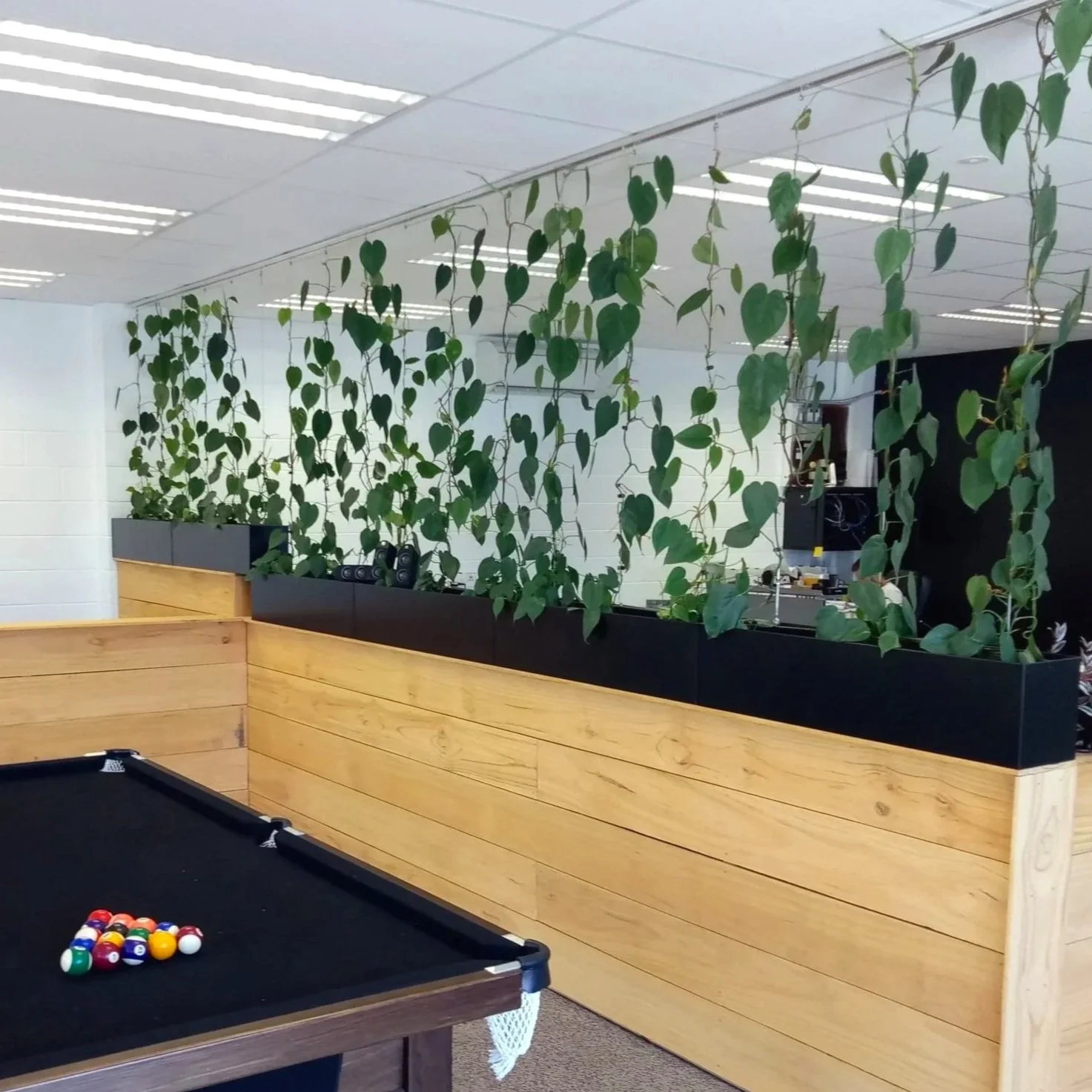 Une salle de jeux avec un billard, un panneau en bois et des plantes suspendues au plafond.