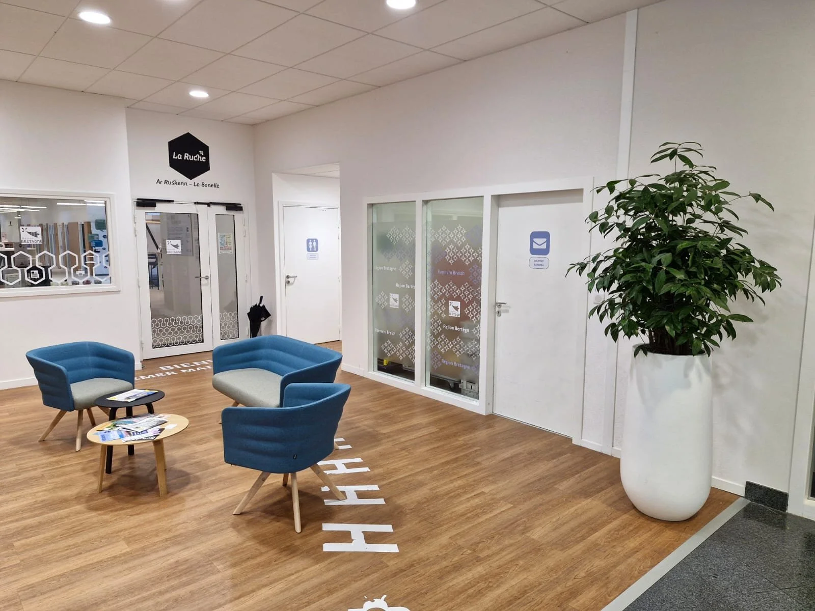 Salle d'attente avec trois fauteuils bleus, une petite table avec des magazines, un grand pot avec une plante verte, portes en verre avec écritures et logos, un mur blanc avec enseigne "La Ruche" et indications en français, parquet en bois.