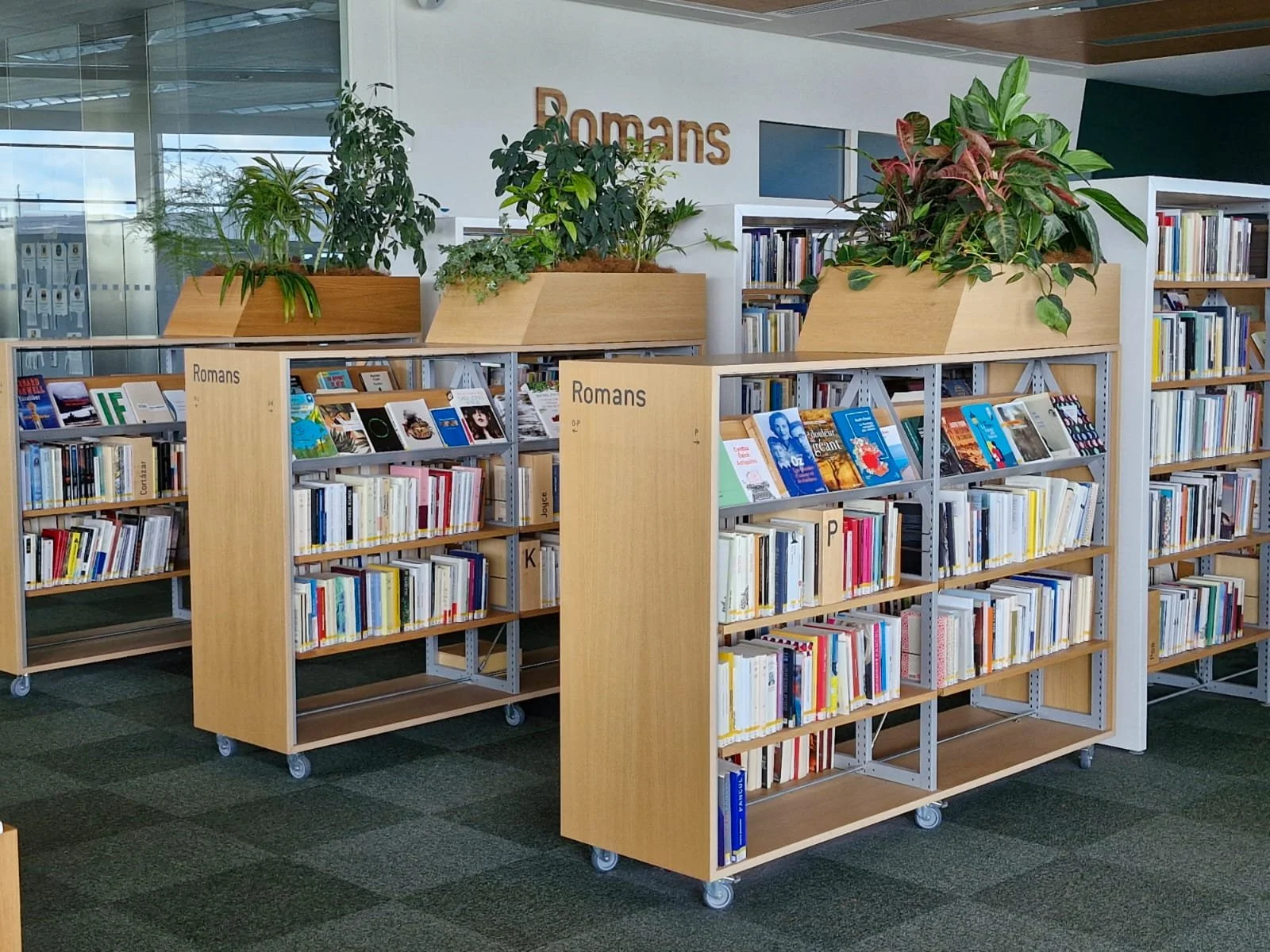 Caractéristiques d'une bibliothèque avec des étagères en bois sur roulettes contenant des livres et des plantes en pot sur un meuble en arrière-plan.