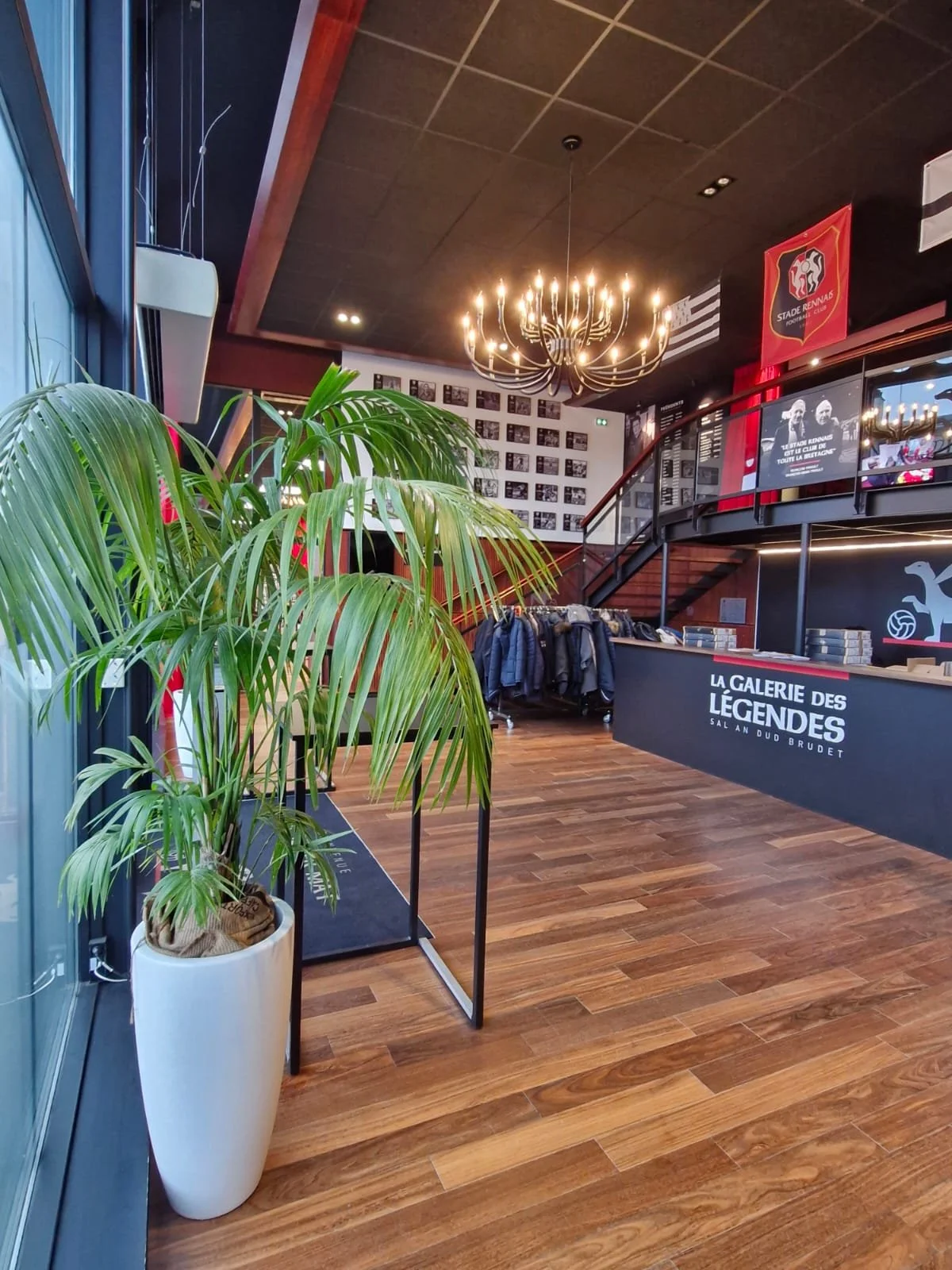 Intérieur d'une galerie ou boutique avec un grand lampadaire, un comptoir avec des livres et des vêtements, une plante verte en pot, et des murs décorés avec des affiches et drapeaux liés au football.
