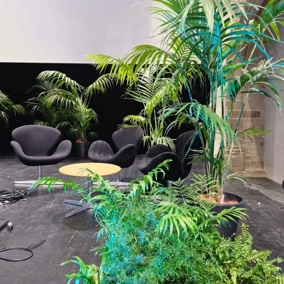 Salon avec fauteuils noirs, table ronde en bois clair, plants vertes abondantes dans des pots noirs, mur blanc, sol en pierre grise.