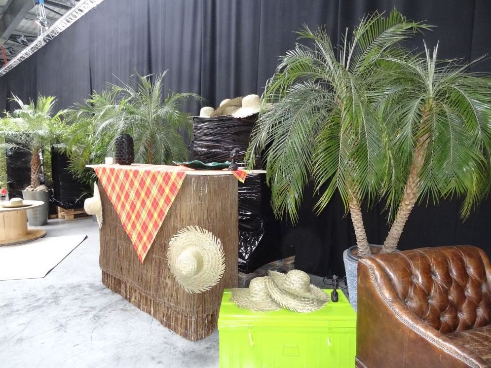 Décor intérieur avec des plantes tropicales, chapeaux en paille, un canapé en cuir marron, une table avec un napperon rouge et jaune, dans un espace mystérieux avec un fond noir.