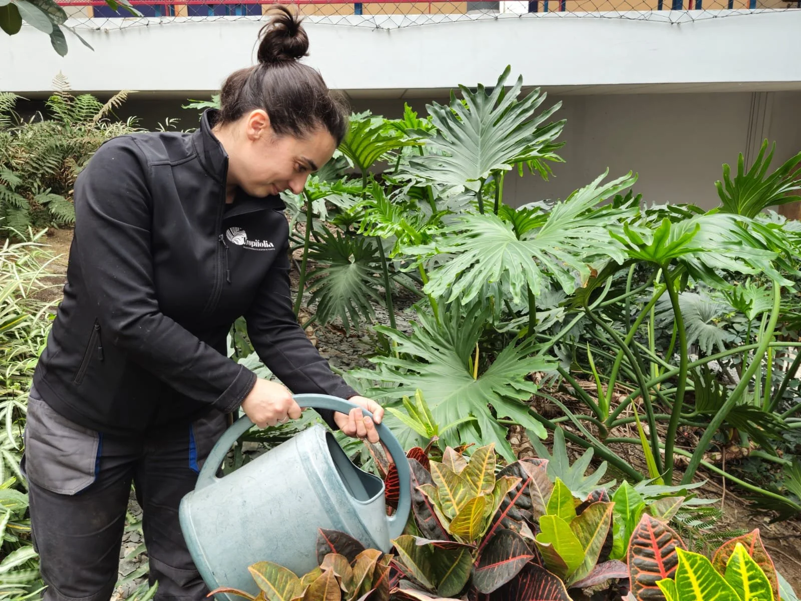 Une femme en veste noire arrose des plantes dans une serre ou un jardin intérieur avec de grandes feuilles vertes et colorées.