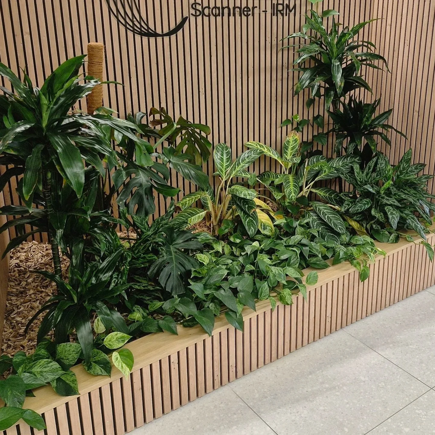 Un mur en bois avec un panneau indiquant 'Sanofi-IRM' et un aménagement de plantes vertes dans un carré en bois.