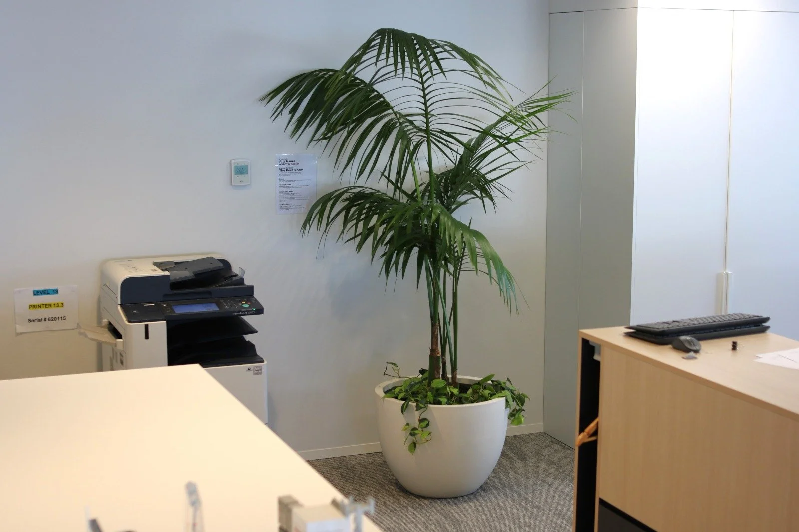 Une plante verte en pot blanc dans un bureau, à côté d'une imprimante, d'un clavier et d'une souris.