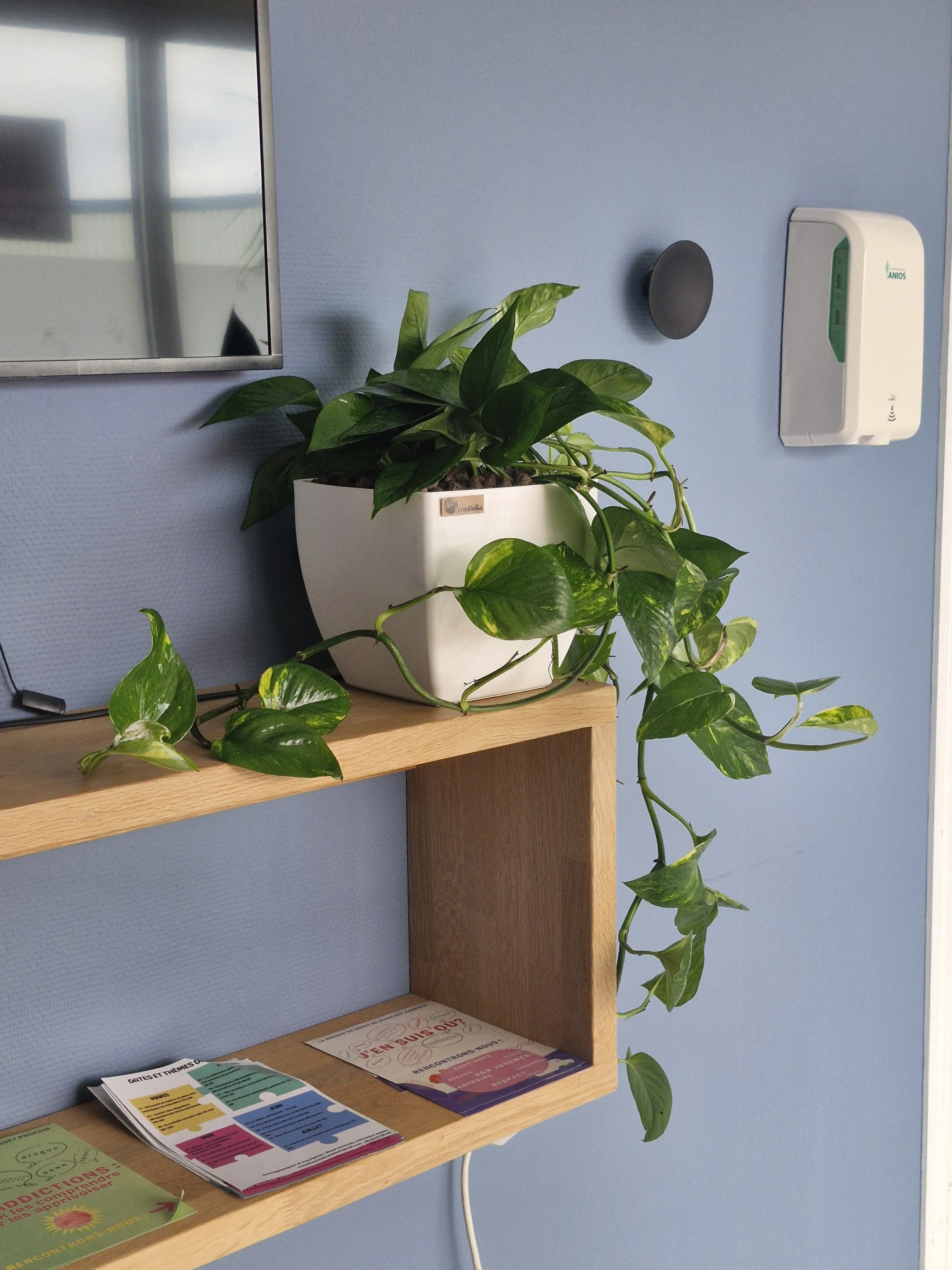 Une étagère en bois clair avec des brochures colorées, un pot de plante verte sur la même étagère, et un mur bleu clair en arrière-plan. Sur le mur, il y a un détecteur de fumée blanc, un bouton noir rond, et un distributeur de gel hydroalcoolique.