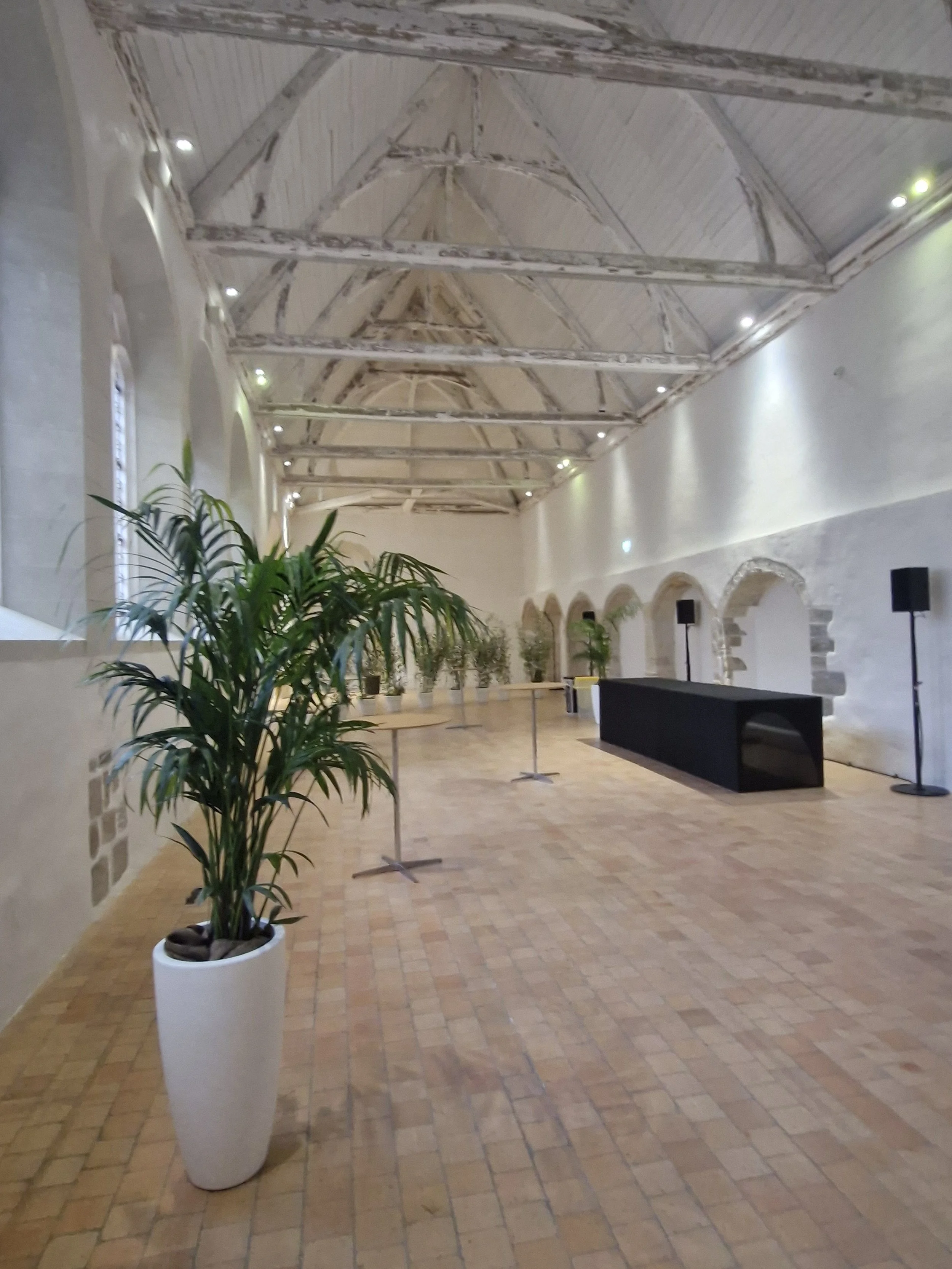Intérieur d'une grande salle avec un plafond en bois, murs blancs, et un sol en briques. Il y a une grande plante verte dans un pot blanc à gauche, plusieurs plants dans des pots en rangée au fond, et une table avec une barrière de plomb à droite. Des haut-parleurs sont visibles, ainsi que des lumières encastrées dans le plafond.