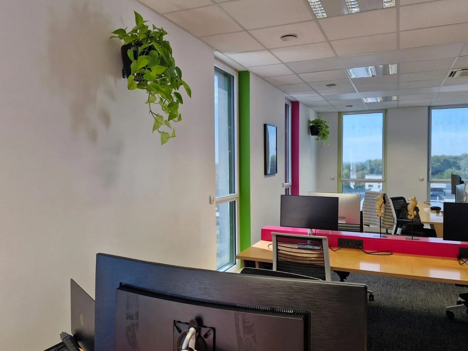 Bureaux modernes avec fenêtres donnant sur un paysage verdoyant, décor coloré avec des plantes et des décorations marines.