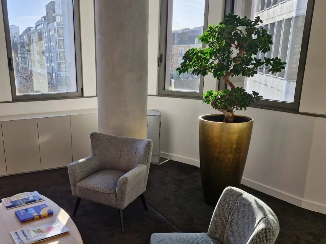 Salle de réunion ou espace de repos avec deux fauteuils gris, une grande plante en pot doré, plusieurs fenêtres laissant entrer la lumière naturelle et une vue sur des immeubles de bureaux.