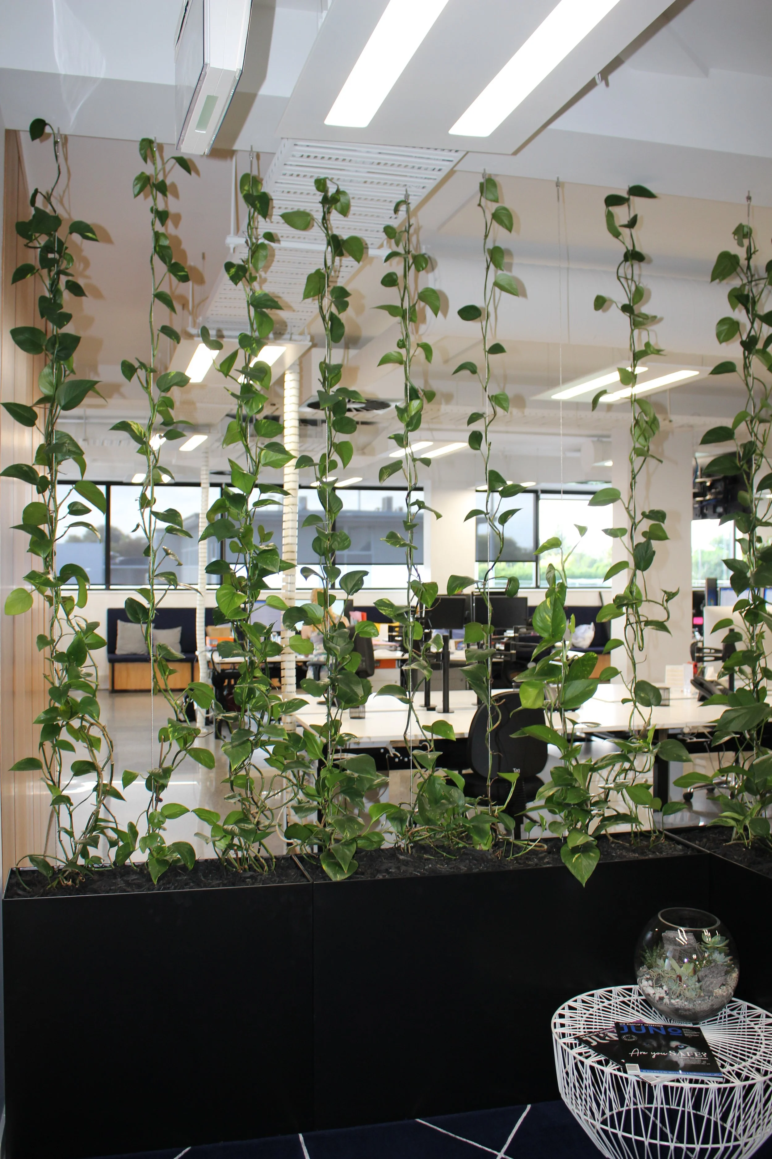 Une décoration intérieure avec des plantes suspendues et une salle de bureau en arrière-plan. Des fauteuils et des écrans d'ordinateur sont visibles dans l'espace de travail, avec de grandes fenêtres laissant entrer la lumière naturelle.