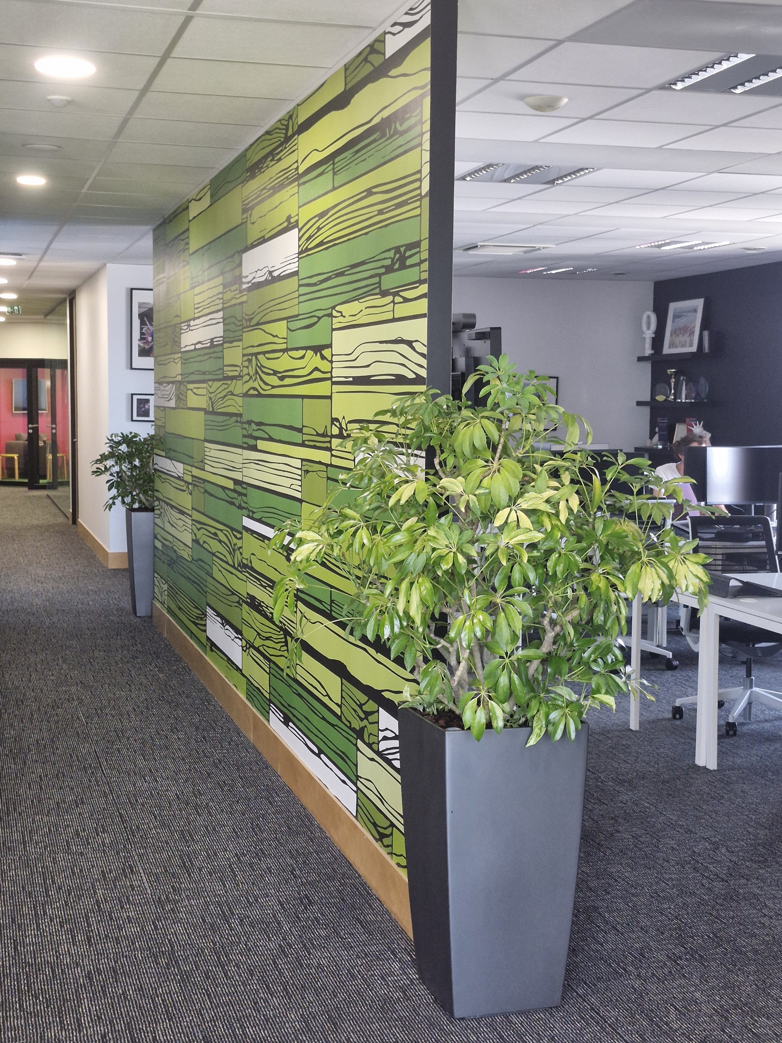 Une cloison décorative dans un bureau avec une peinture verte et noire, ainsi que des plantes vertes en pot à côté.