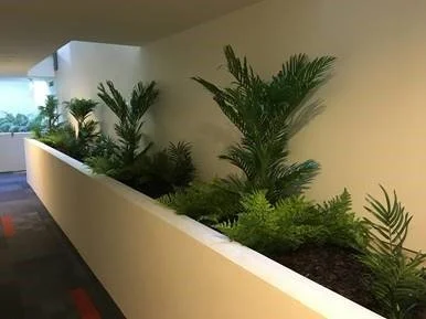 Plantes vertes dans une jardinière blanche le long d'un mur intérieur