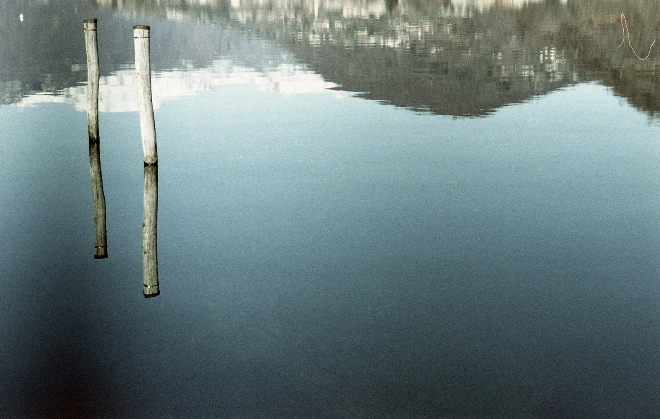 L'immagine mostra tre pali di legno nel acqua, con le loro riflessioni visibili sulla superficie dell'acqua, in un ambiente naturale.