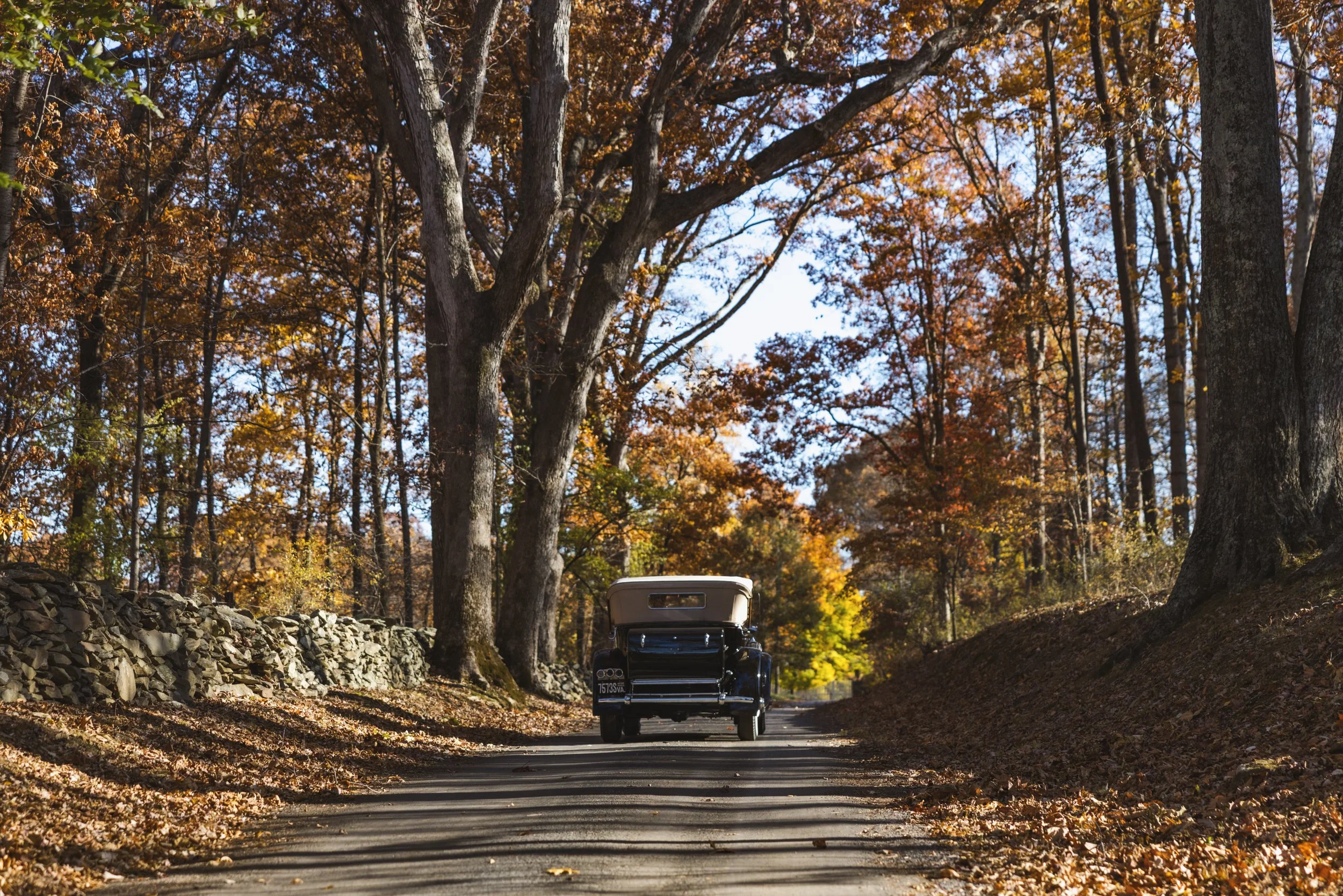 Trappe Rd-11.jpg