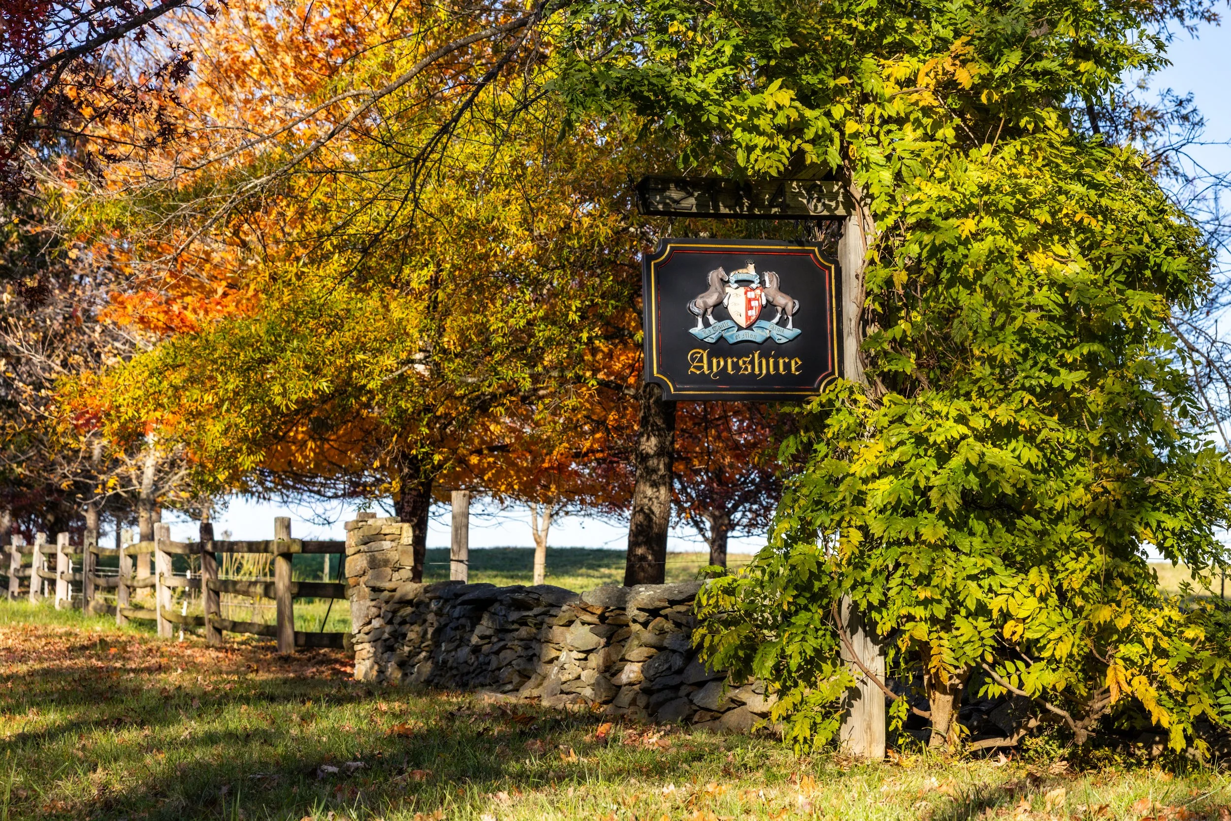 Trappe Rd-15.jpg