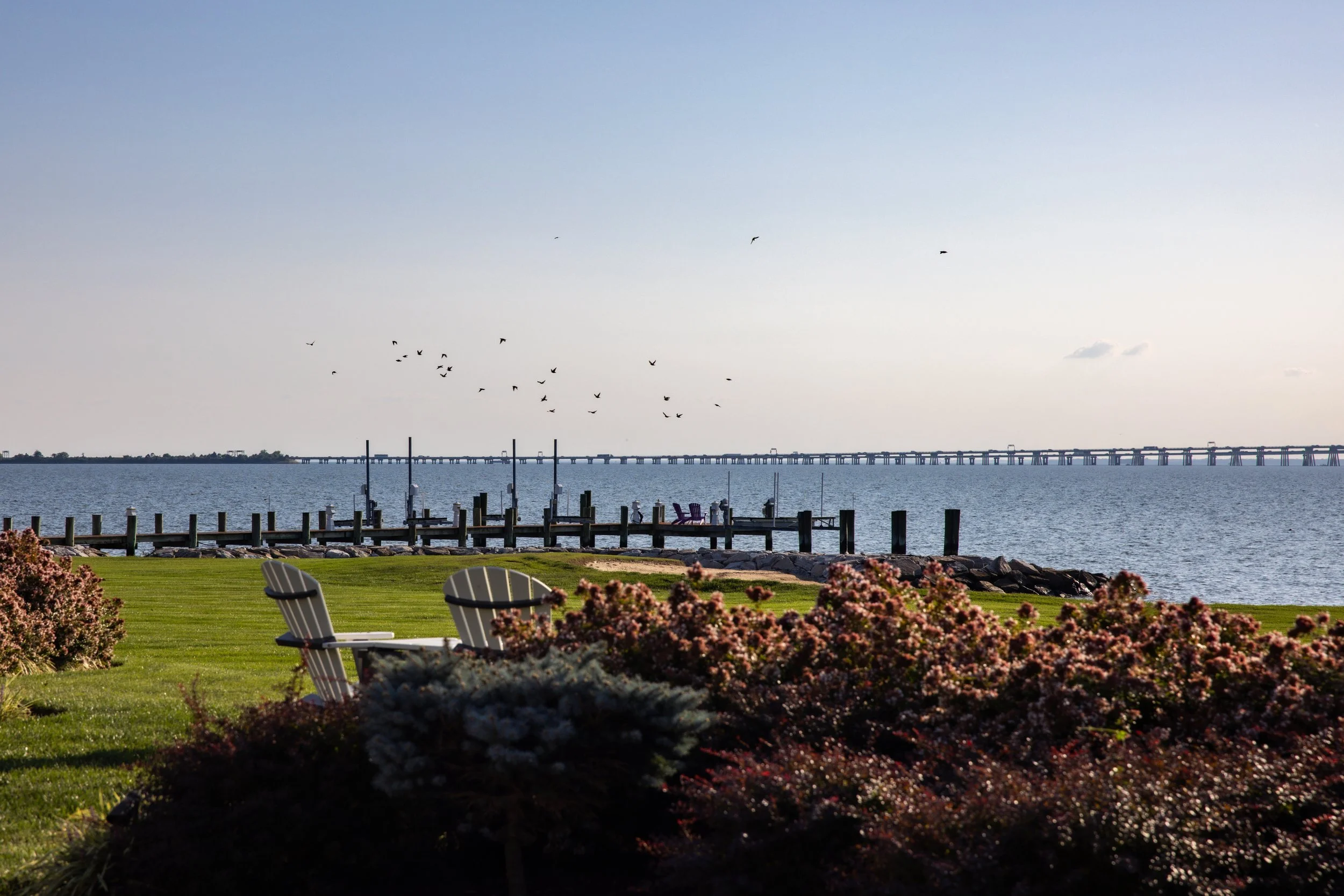 Bridgeview-34.jpg