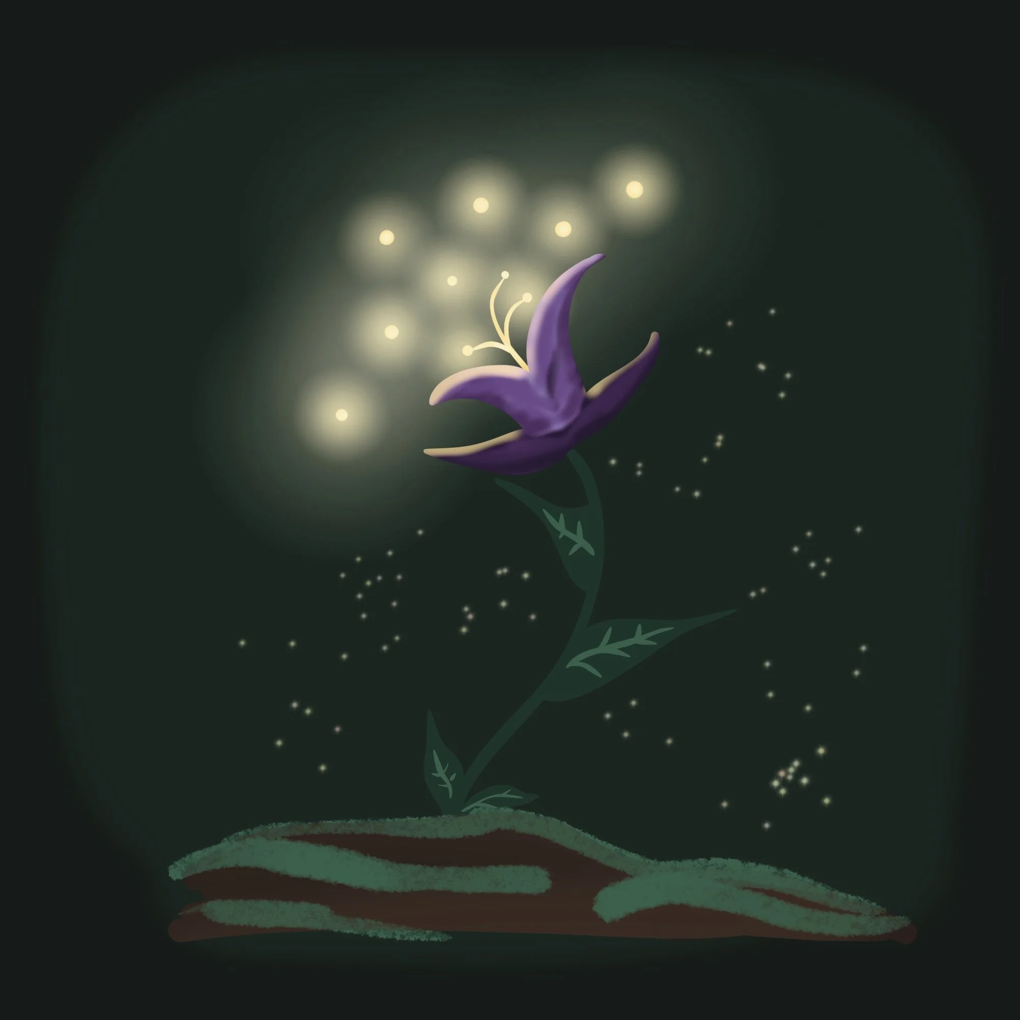 Secrets de la Forêt 7 : Fleur nocturne