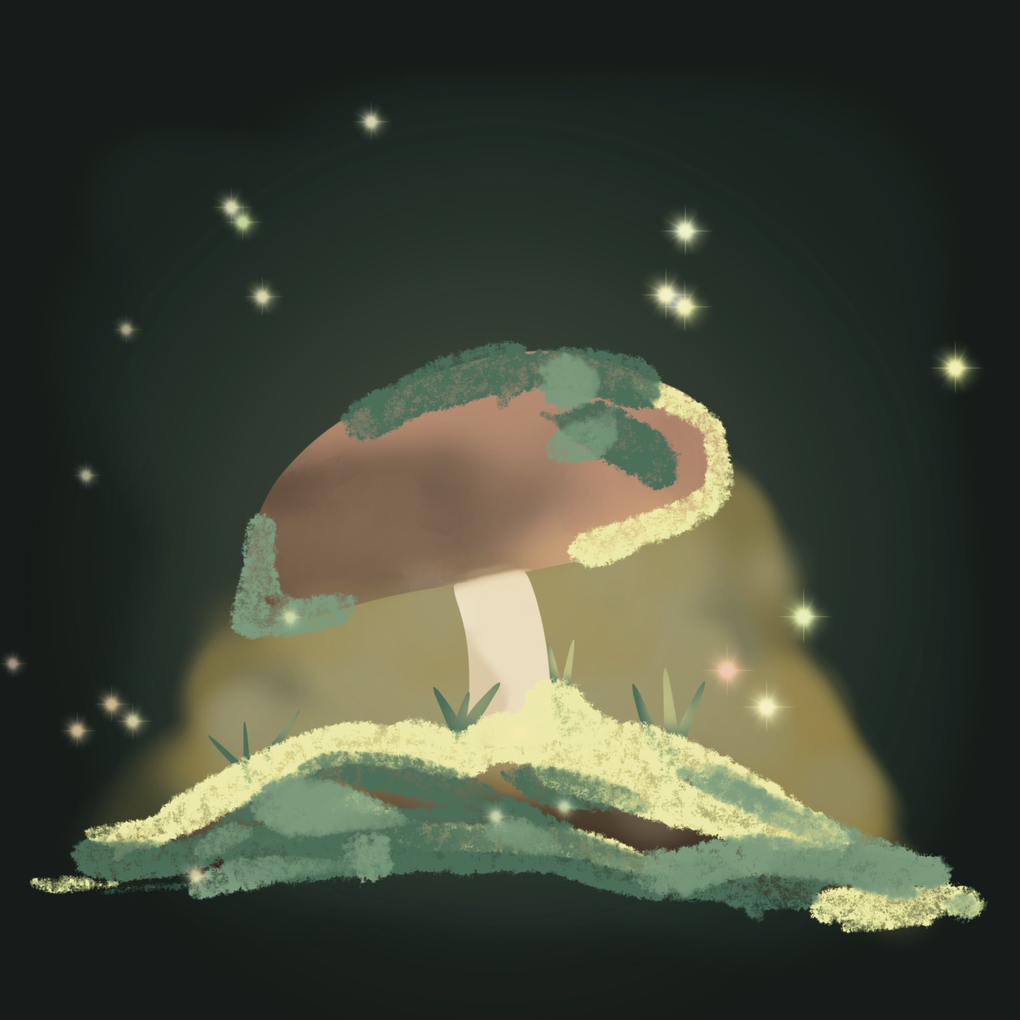 Secrets de la Forêt 3 : Champignon lanterne