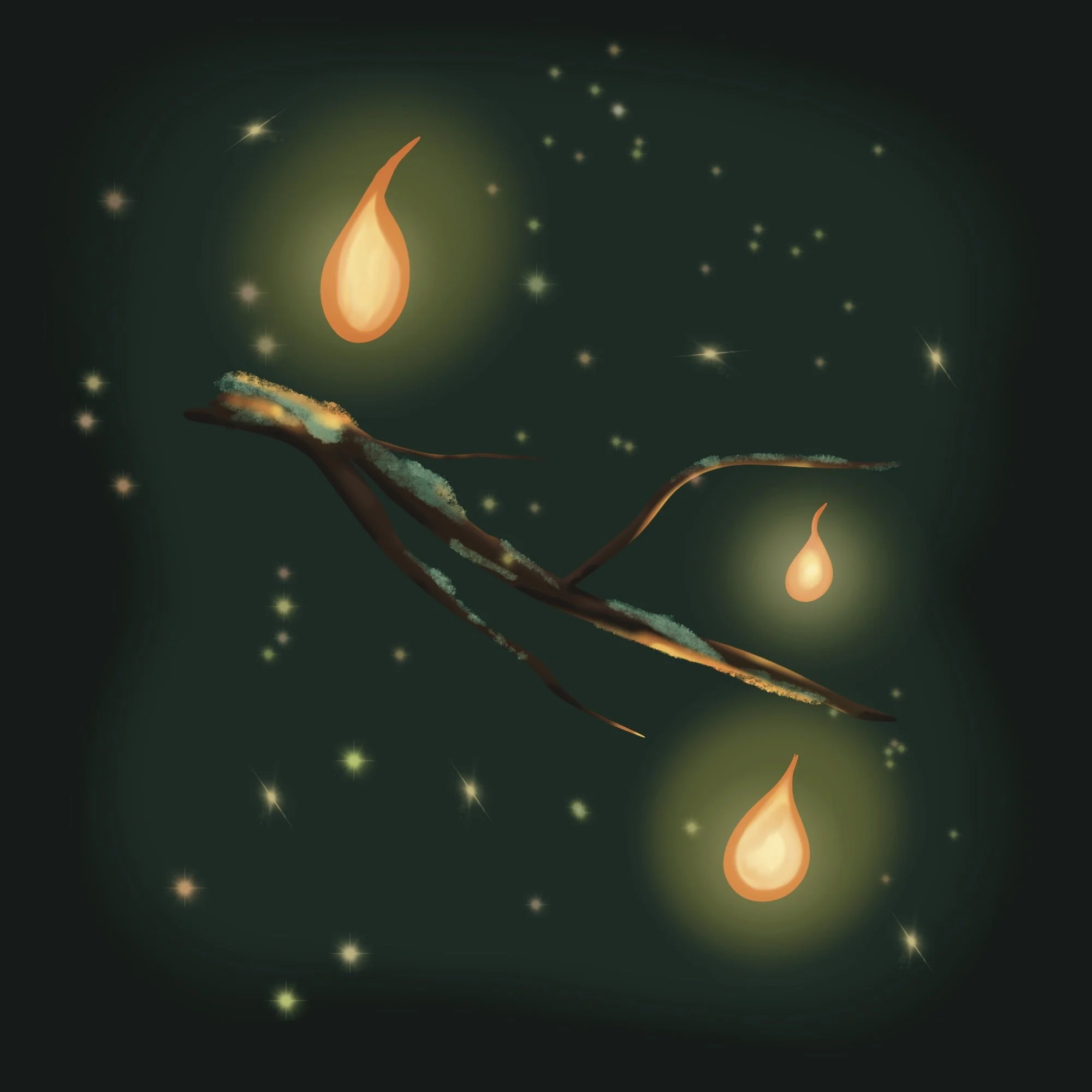 Secrets de la Forêt 1 : Esprits du feu